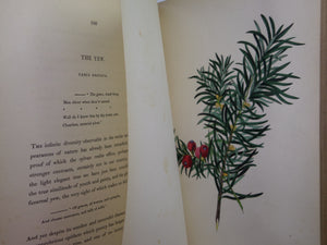 SYLVAN MUSINGS; OR, THE SPIRIT OF THE WOODS BY MRS REBECCA HEY 1849 FINE BINDING