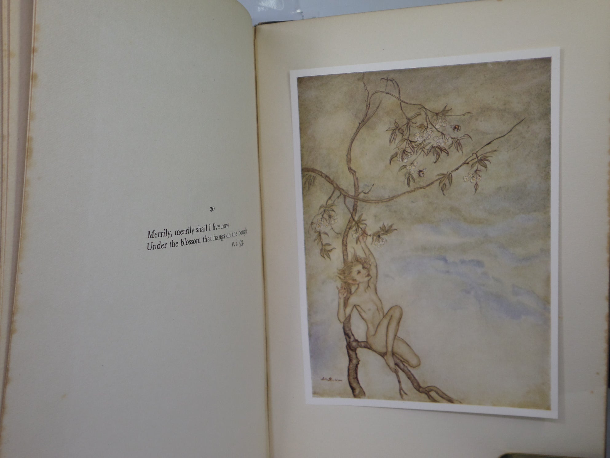 THE TEMPEST BY WILLIAM SHAKESPEARE 1926 FIRST EDITION ILLUSTRATED BY ARTHUR RACKHAM