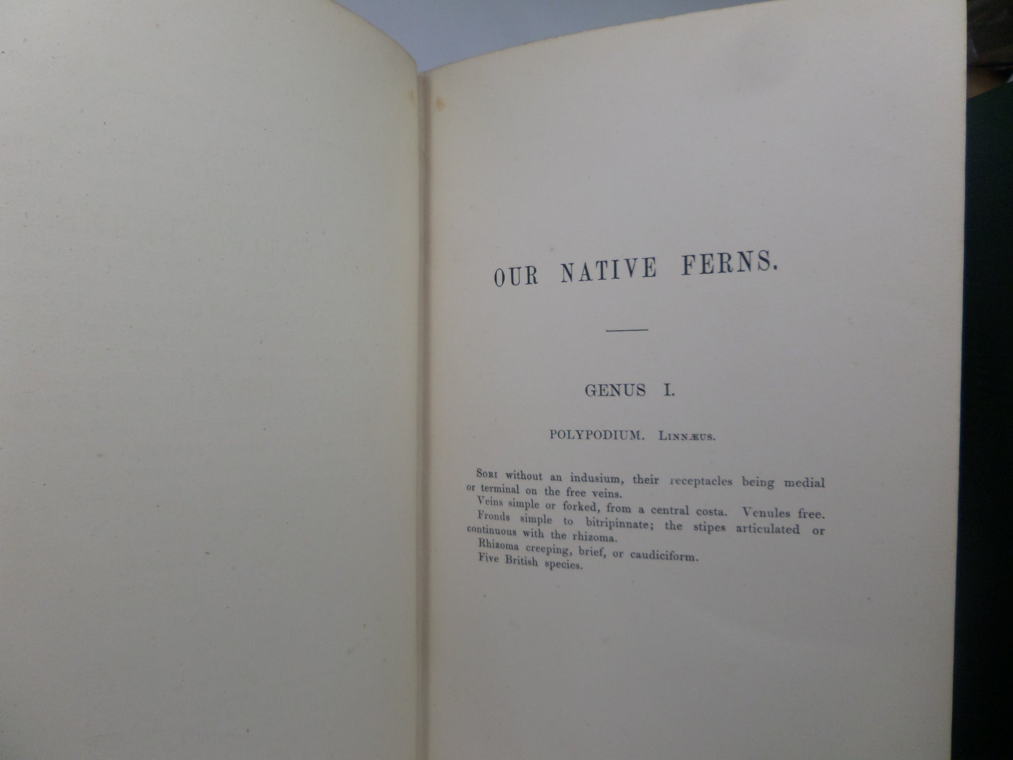 OUR NATIVE FERNS; OR A HISTORY OF THE BRITISH SPECIES AND THEIR VARIETIES BY E.J. LOWE 1874-80
