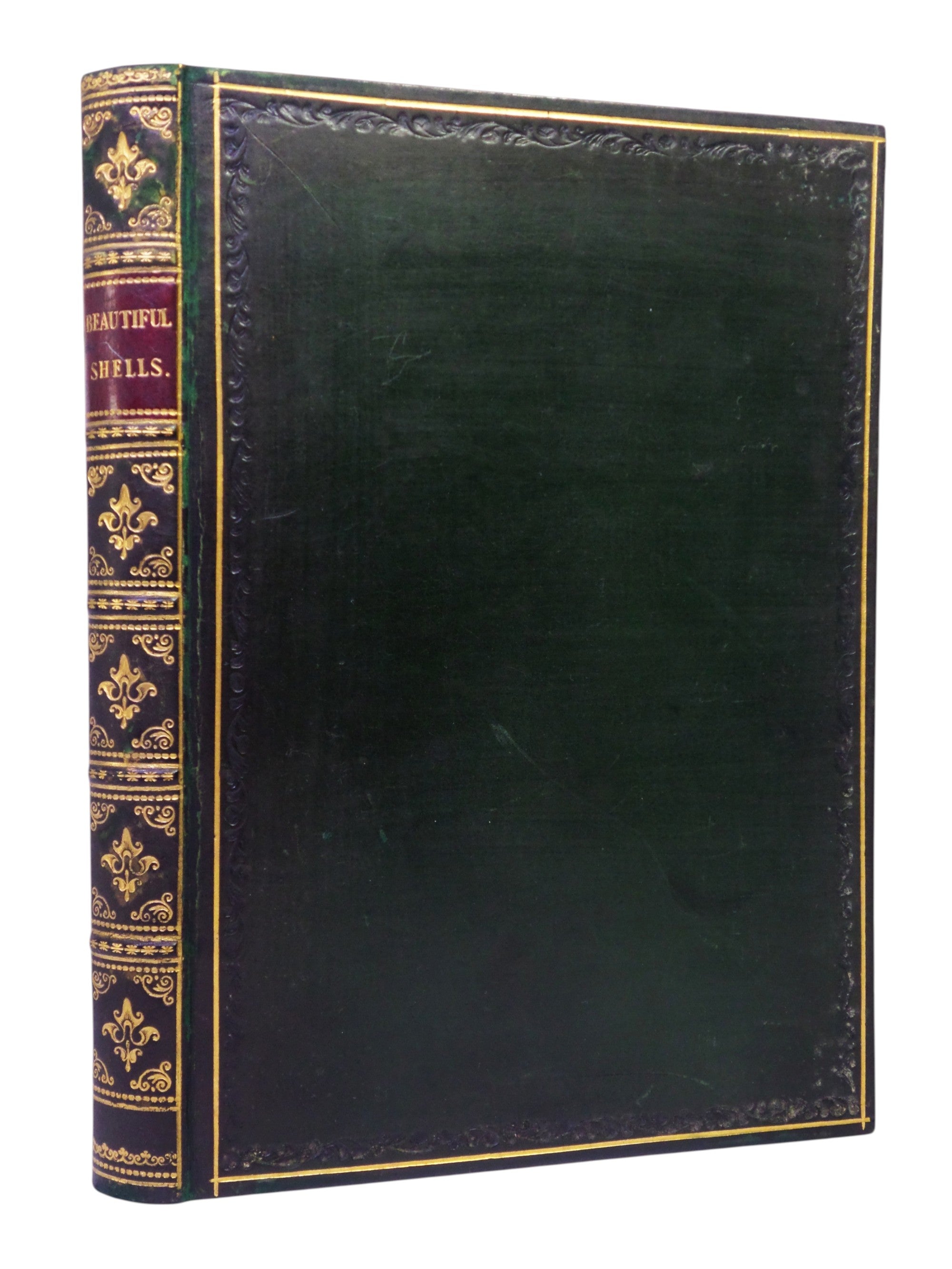 BEAUTIFUL SHELLS; THEIR NATURE, STRUCTURE & USES 1871 HENRY ADAMS, FINE BINDING