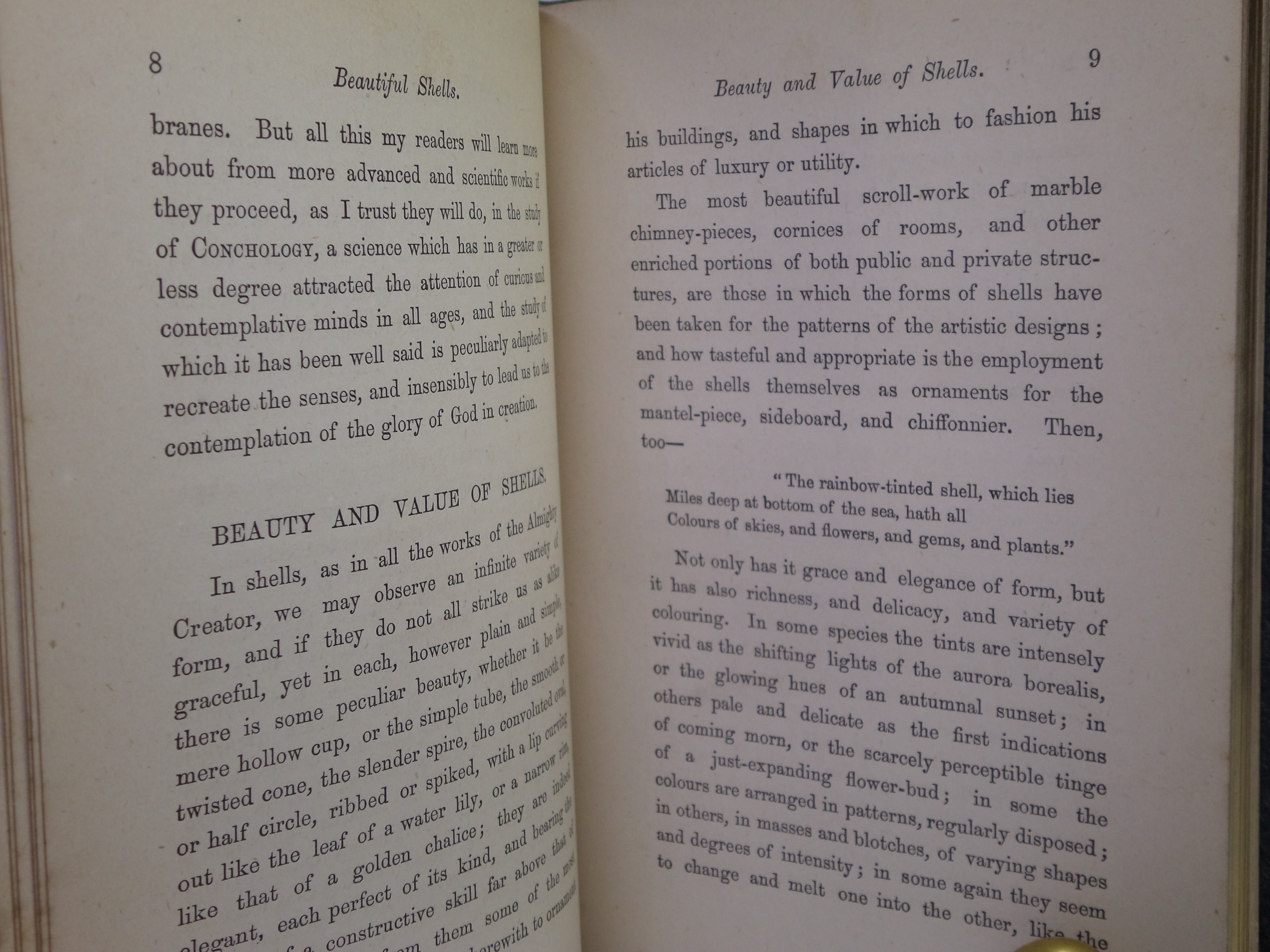 BEAUTIFUL SHELLS; THEIR NATURE, STRUCTURE & USES 1871 HENRY ADAMS, FINE BINDING