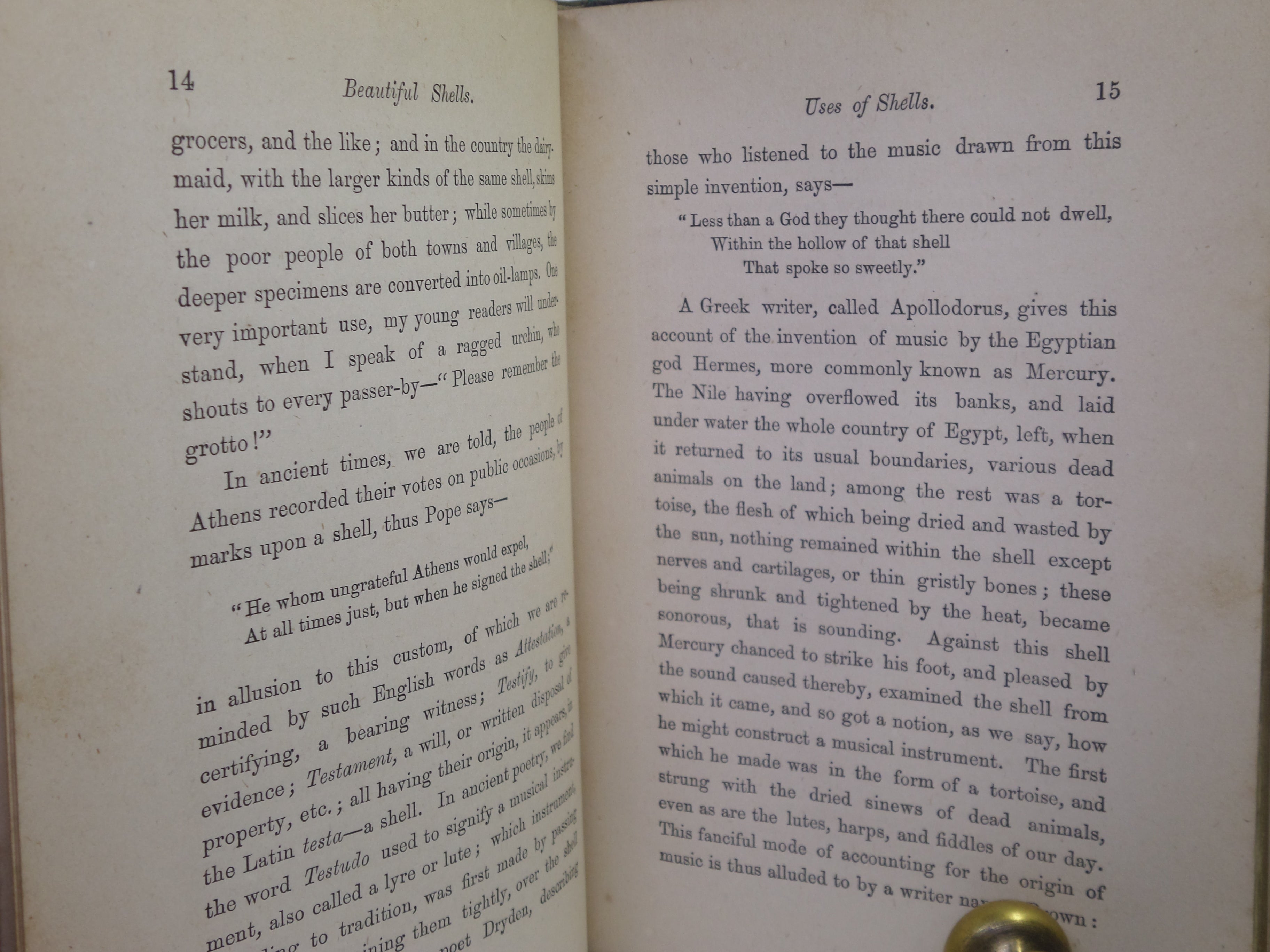 BEAUTIFUL SHELLS; THEIR NATURE, STRUCTURE & USES 1871 HENRY ADAMS, FINE BINDING