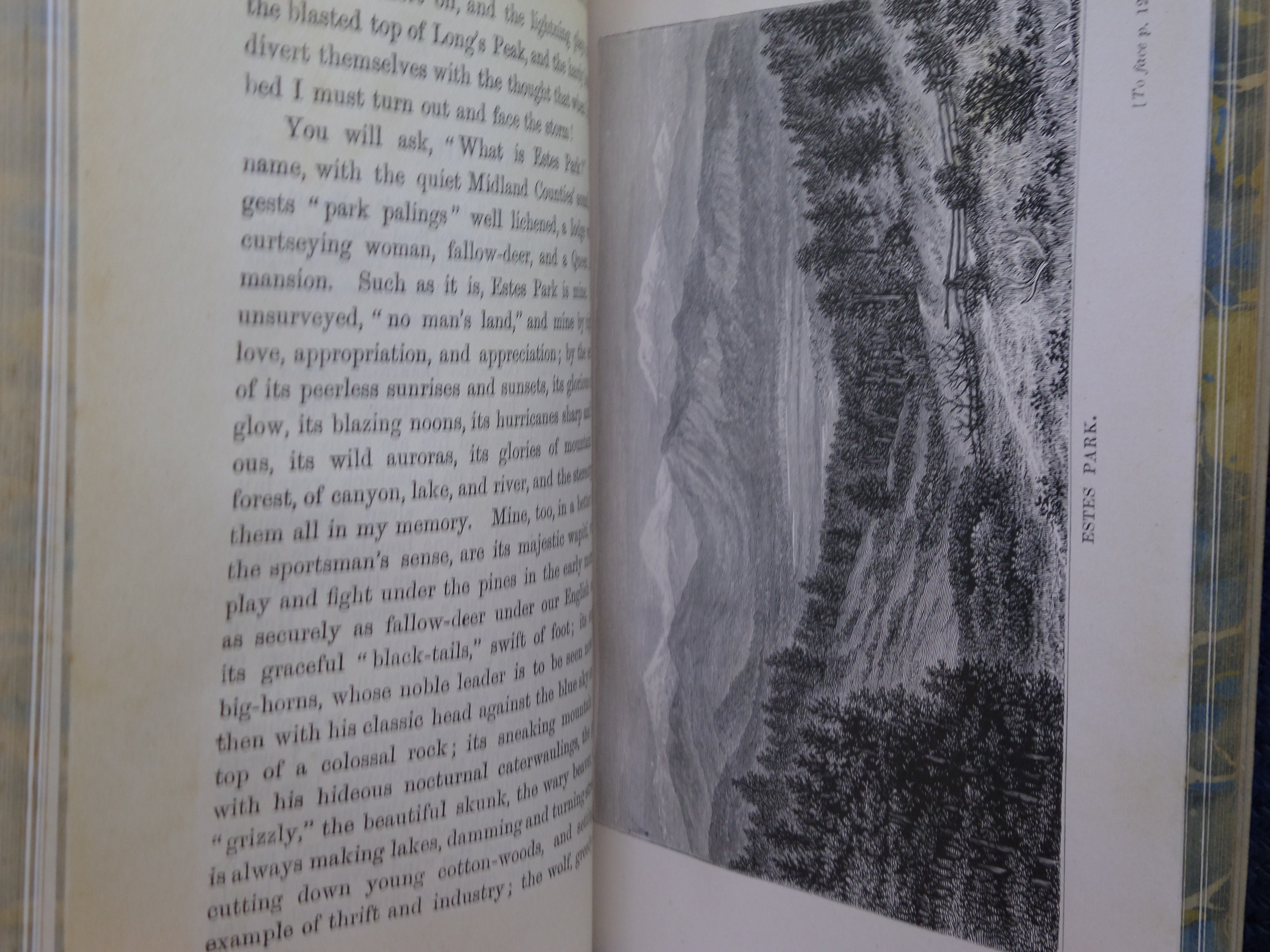 A LADY'S LIFE IN THE ROCKY MOUNTAINS BY ISABELLA L. BIRD 1910 LEATHER BINDING