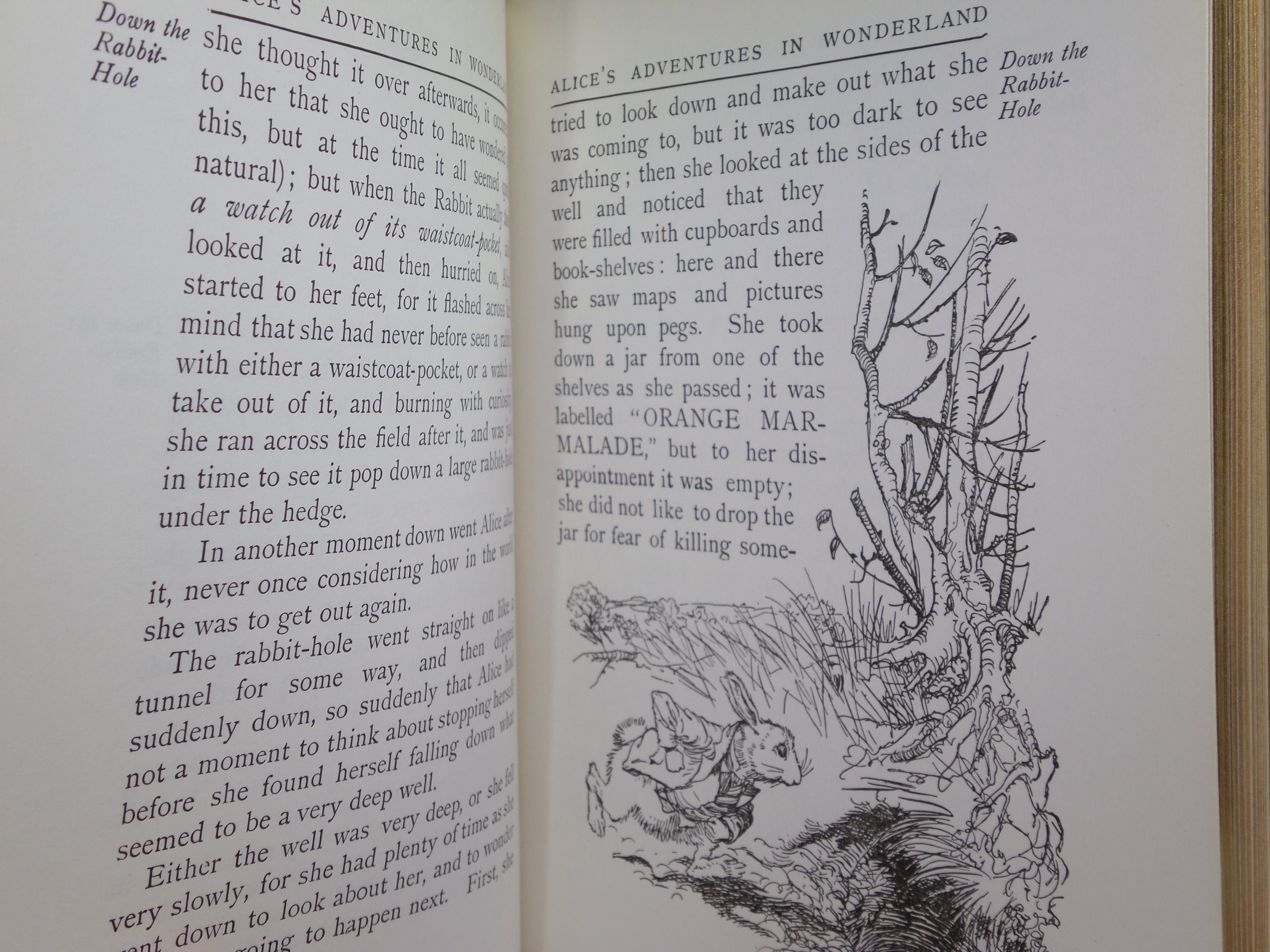 ALICE'S ADVENTURES IN WONDERLAND BY LEWIS CARROLL 1972 ARTHUR RACKHAM, BAYNTUN BINDING