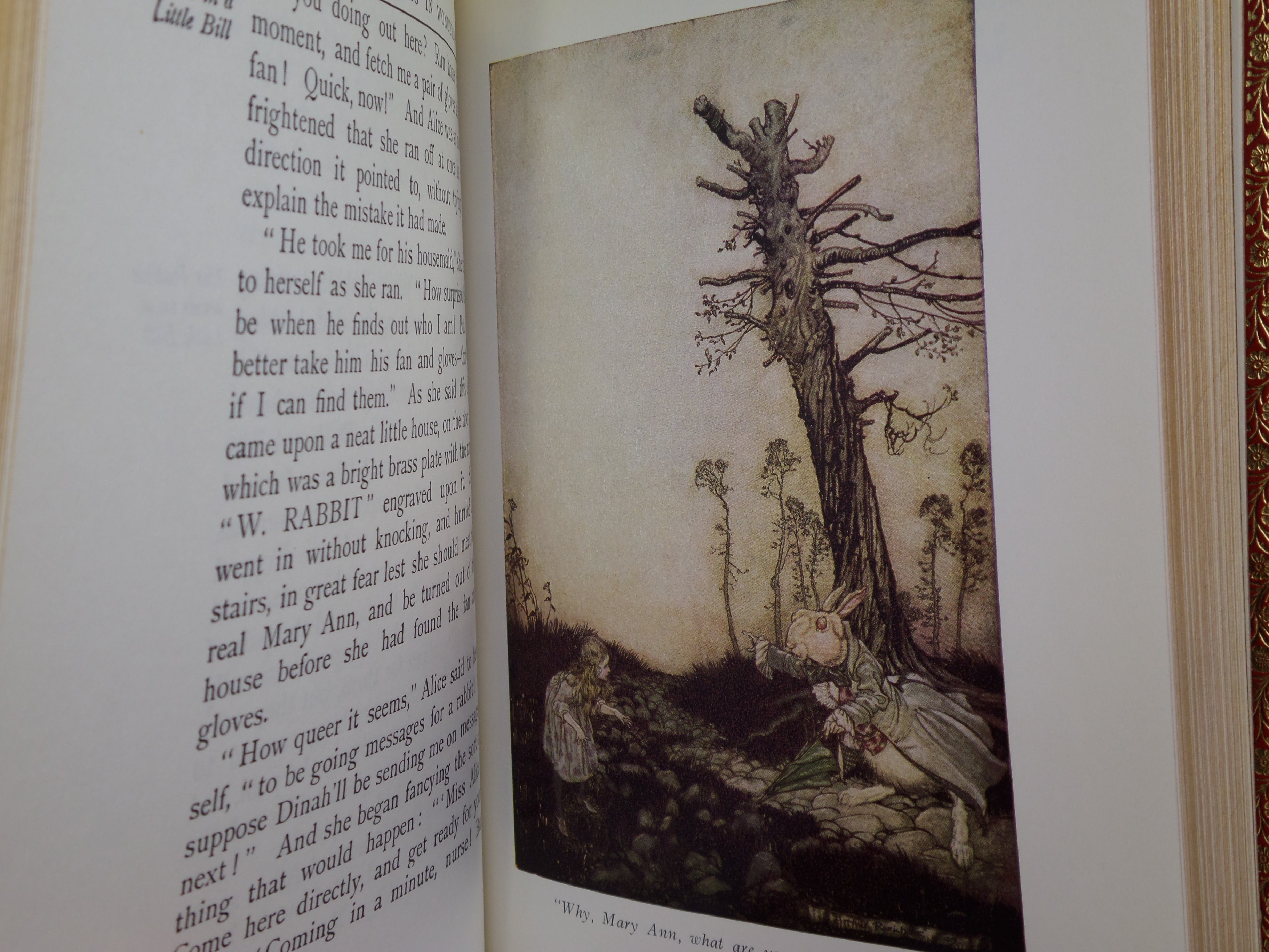 ALICE'S ADVENTURES IN WONDERLAND BY LEWIS CARROLL 1972 ARTHUR RACKHAM, BAYNTUN BINDING