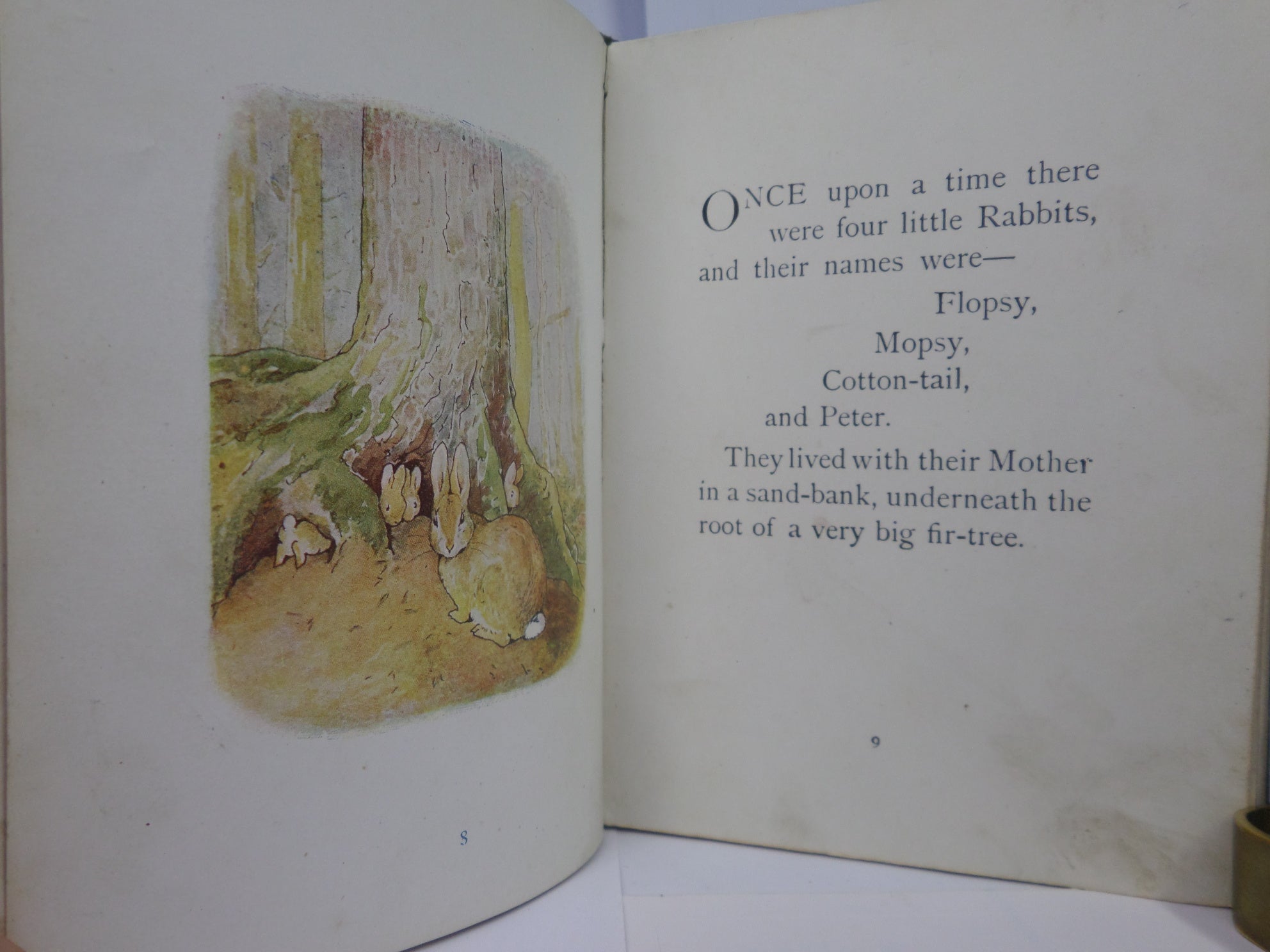 THE TALE OF PETER RABBIT BY BEATRIX POTTER CIRCA 1915 EARLY PRINTING