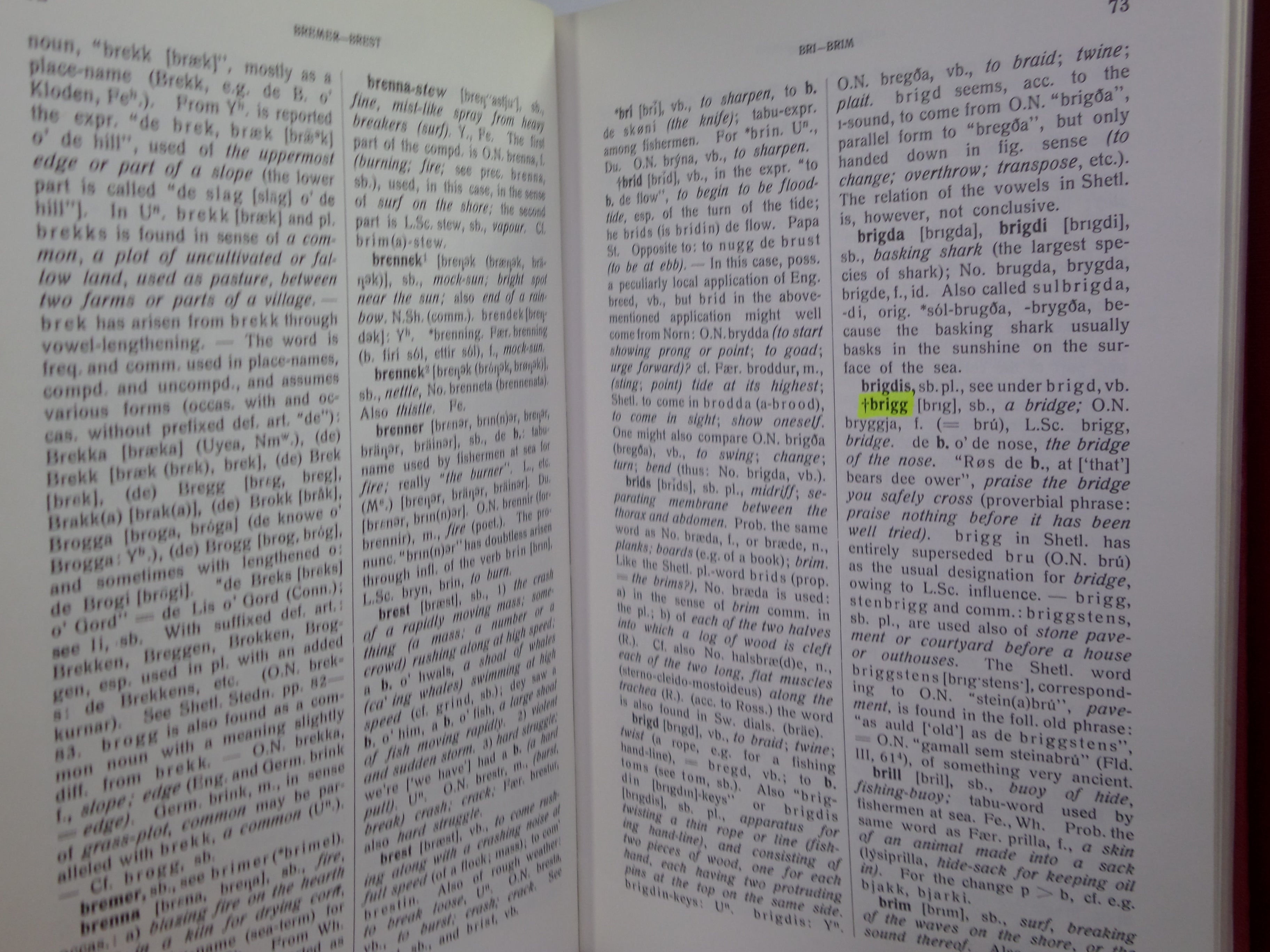 AN ETYMOLOGICAL DICTIONARY OF THE NORN LANGUAGE IN SHETLAND 1985 JAKOB JAKOBSEN