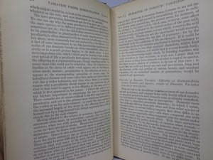 THE ORIGIN OF SPECIES BY MEANS OF NATURAL SELECTION BY CHARLES DARWIN 1894