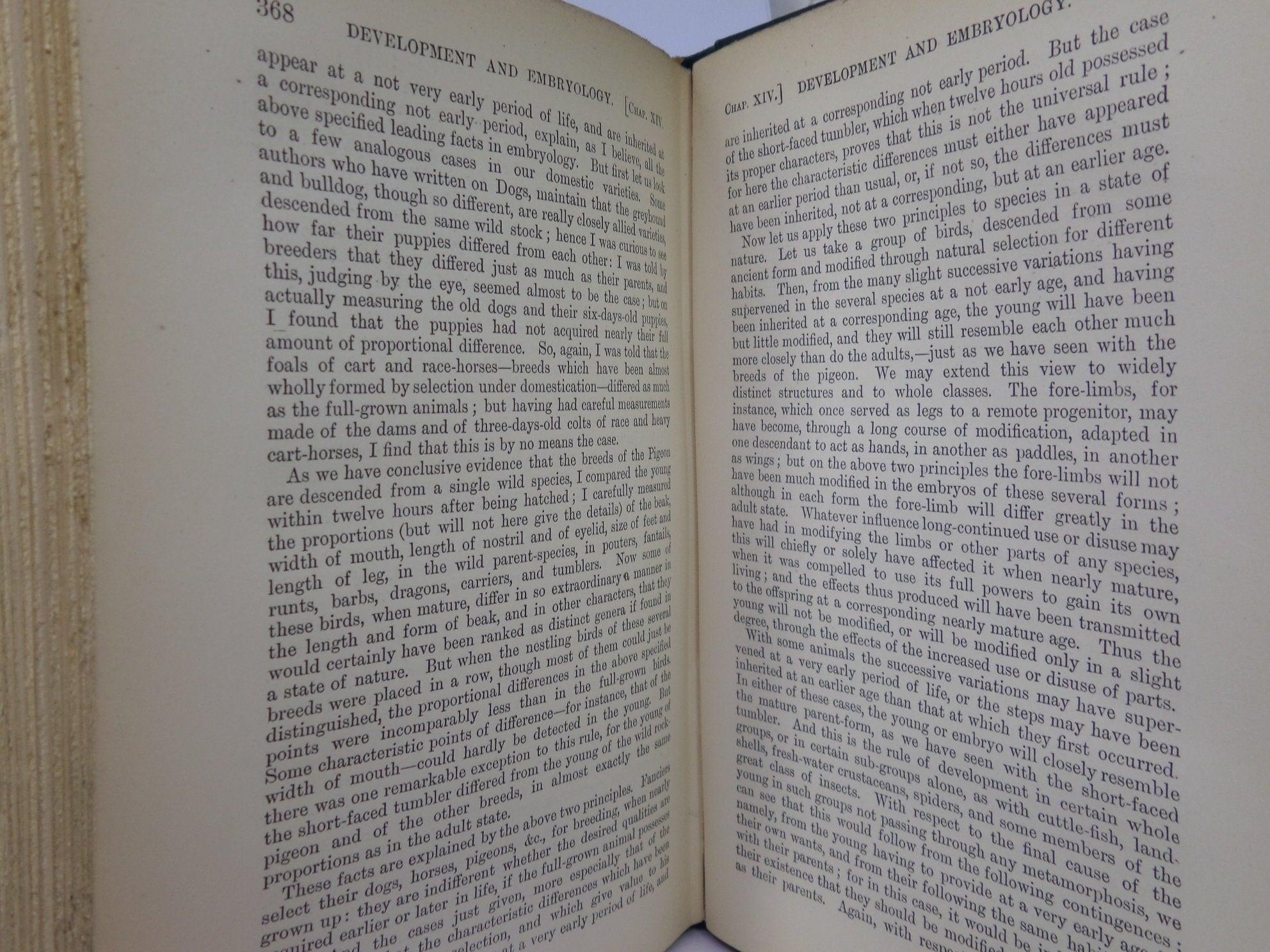 THE ORIGIN OF SPECIES BY MEANS OF NATURAL SELECTION BY CHARLES DARWIN 1894