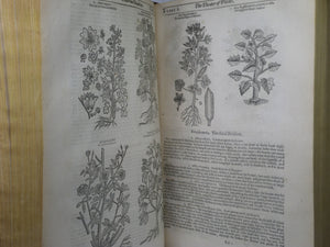 THEATRUM BOTANICUM: THE THEATER OF PLANTS BY JOHN PARKINSON 1640 FIRST EDITION