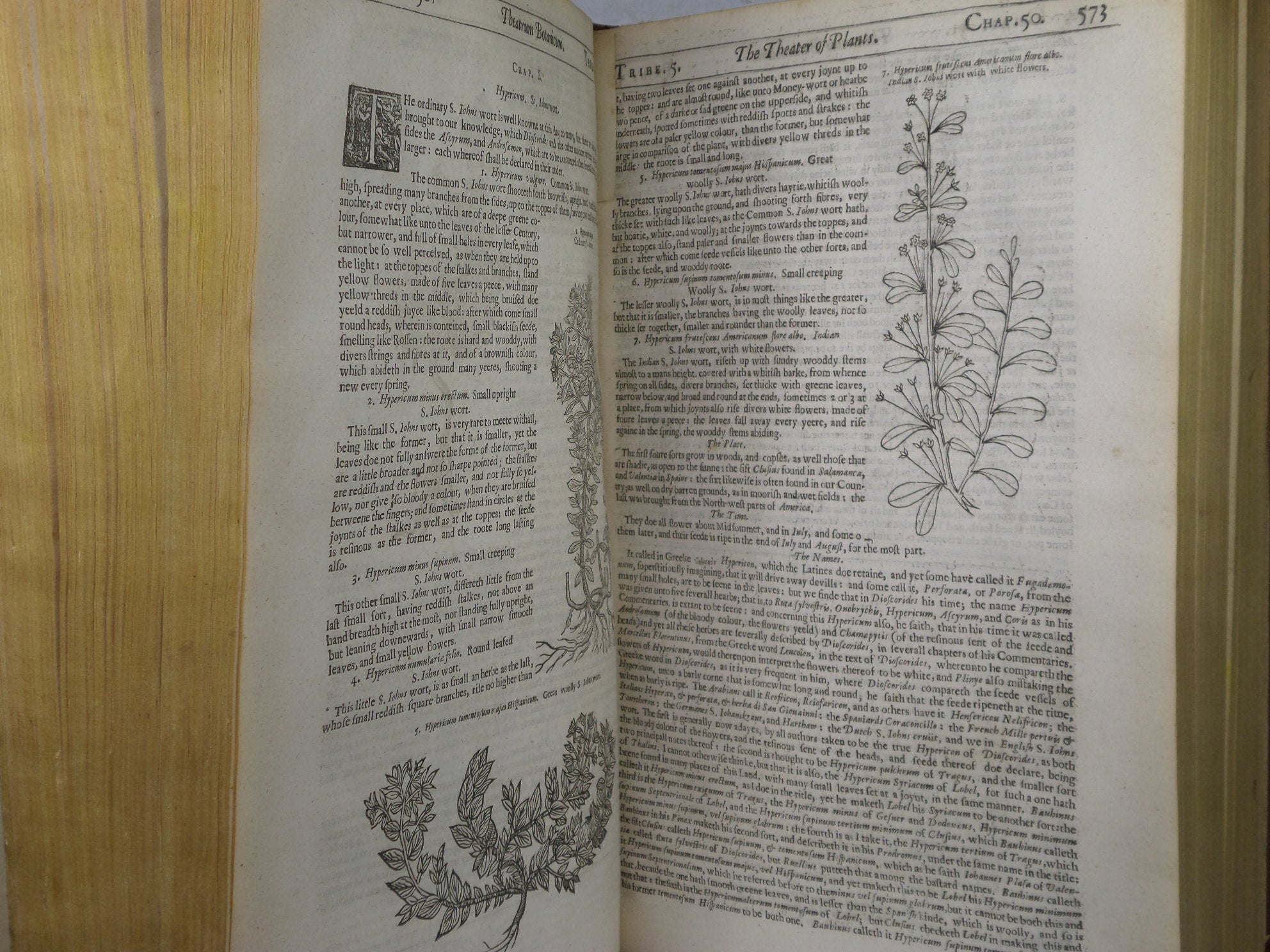 THEATRUM BOTANICUM: THE THEATER OF PLANTS BY JOHN PARKINSON 1640 FIRST EDITION