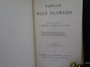 FAMILIAR WILD FLOWERS BY F. EDWARD HULME C. 1880 IN TWO VOLUMES, ILLUSTRATED