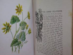 FAMILIAR WILD FLOWERS BY F. EDWARD HULME C. 1880 IN TWO VOLUMES, ILLUSTRATED