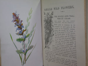 FAMILIAR WILD FLOWERS BY F. EDWARD HULME C. 1880 IN TWO VOLUMES, ILLUSTRATED