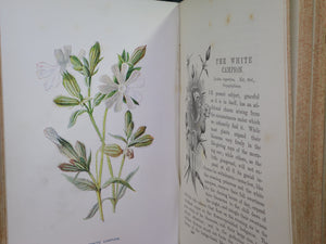 FAMILIAR WILD FLOWERS BY F. EDWARD HULME C. 1880 IN TWO VOLUMES, ILLUSTRATED