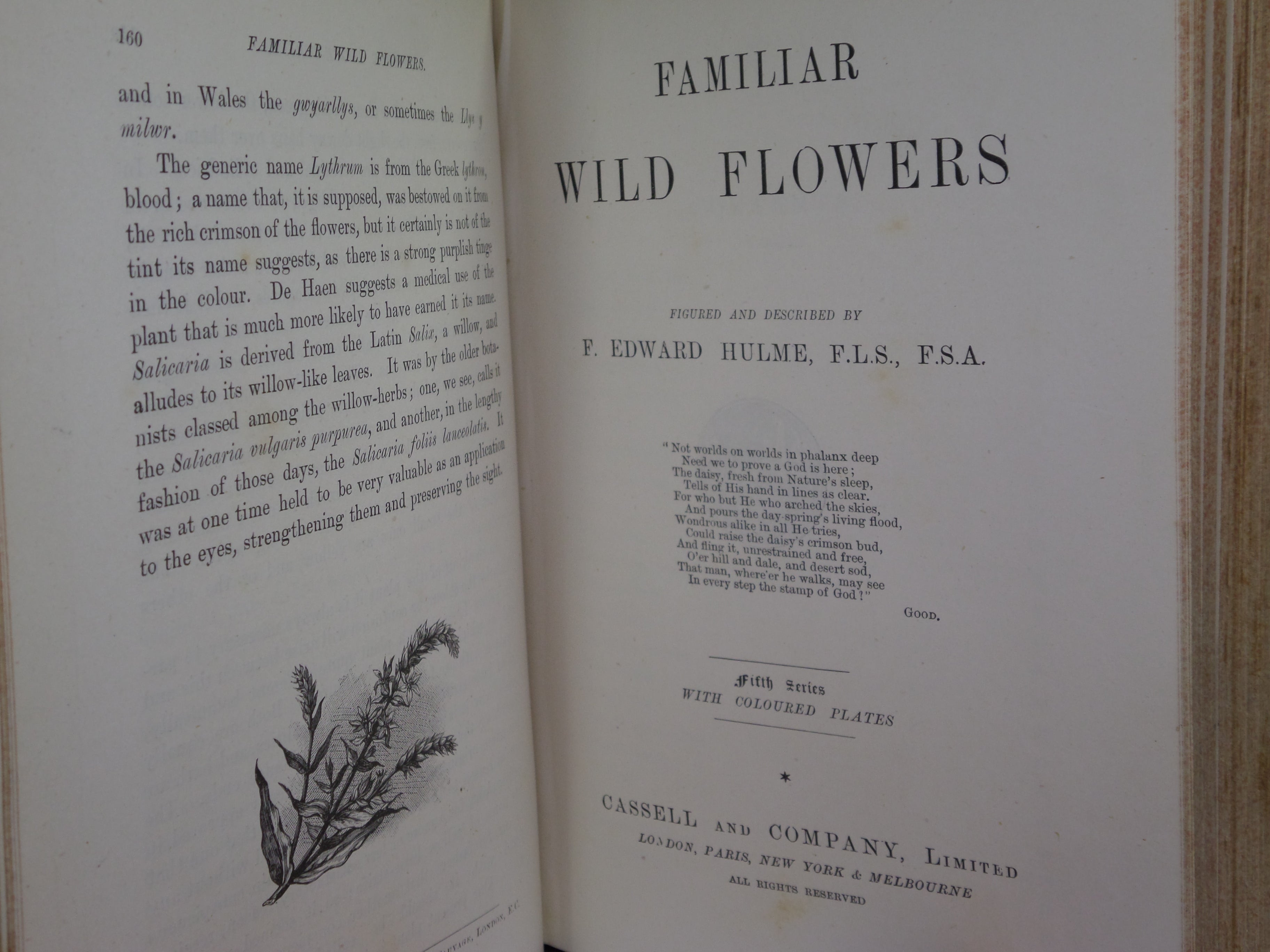 FAMILIAR WILD FLOWERS BY F. EDWARD HULME C. 1880 IN TWO VOLUMES, ILLUSTRATED