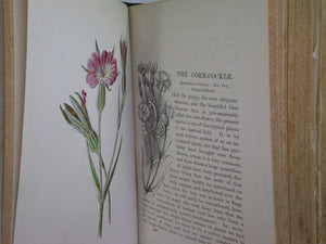 FAMILIAR WILD FLOWERS BY F. EDWARD HULME C. 1880 IN TWO VOLUMES, ILLUSTRATED