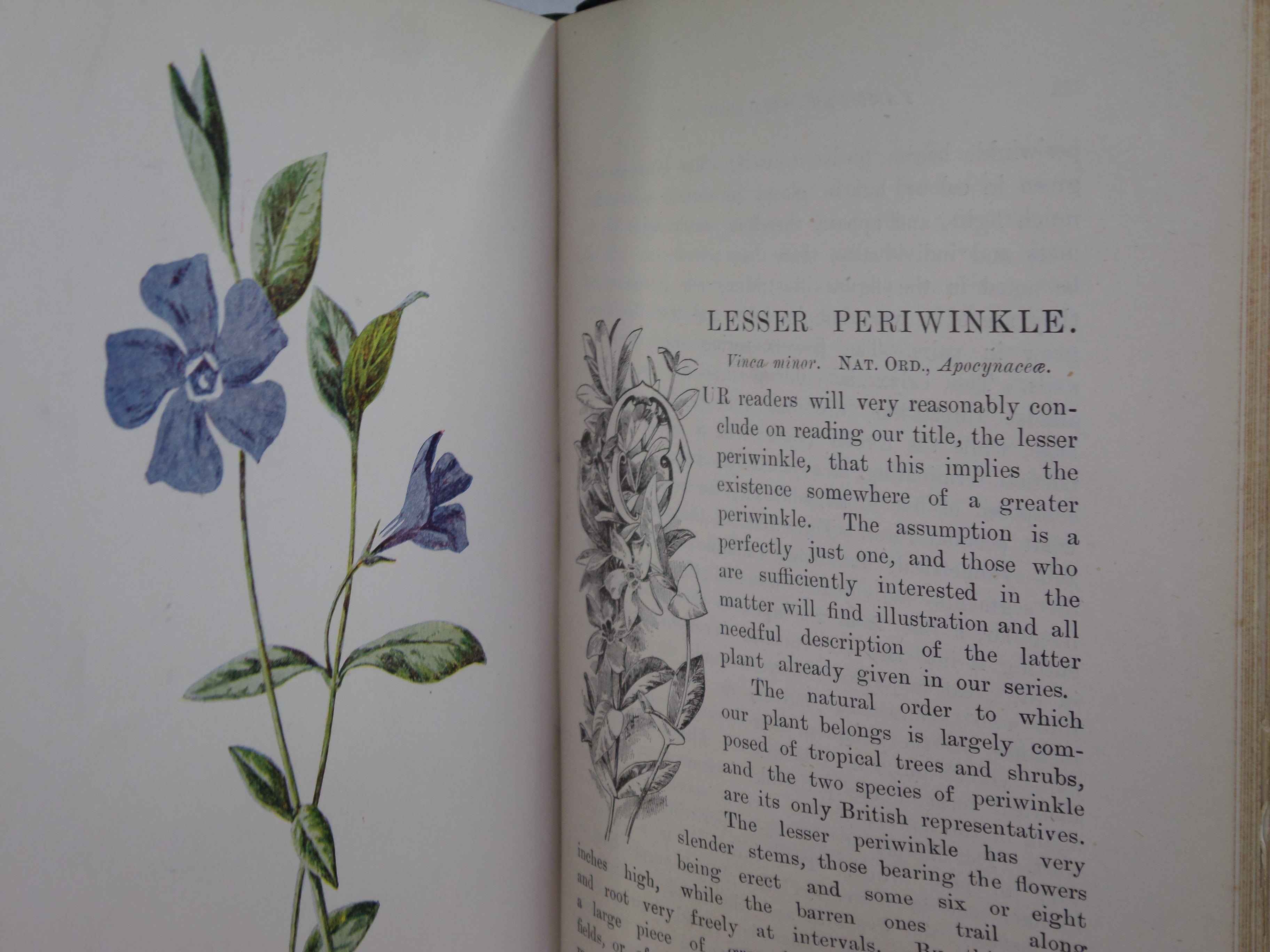 FAMILIAR WILD FLOWERS BY F. EDWARD HULME C. 1880 IN TWO VOLUMES, ILLUSTRATED