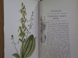 FAMILIAR WILD FLOWERS BY F. EDWARD HULME C. 1880 IN TWO VOLUMES, ILLUSTRATED