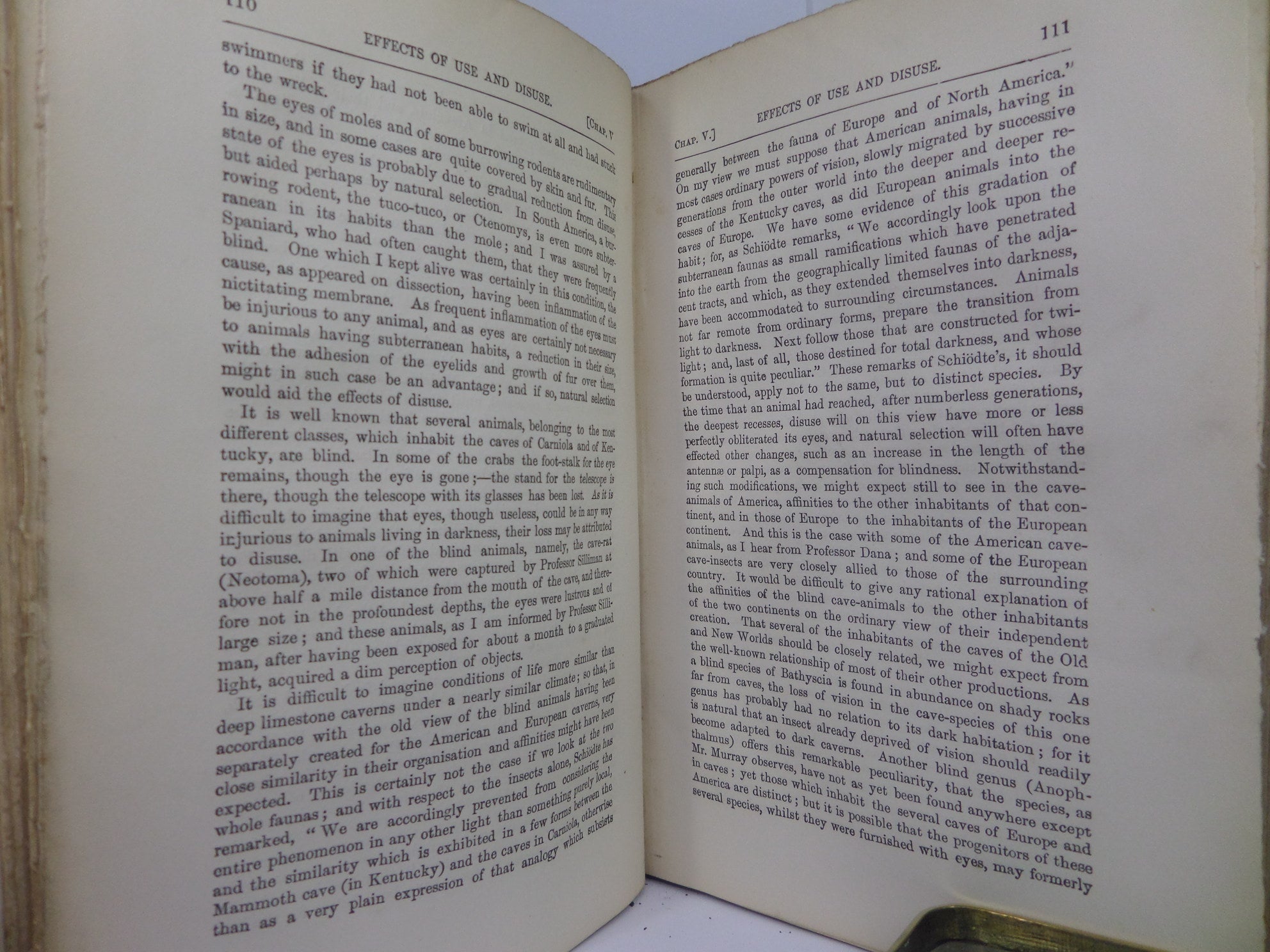 THE ORIGIN OF SPECIES BY MEANS OF NATURAL SELECTION BY CHARLES DARWIN 1882