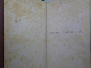 THE ORIGIN OF SPECIES BY MEANS OF NATURAL SELECTION 1878 CHARLES DARWIN