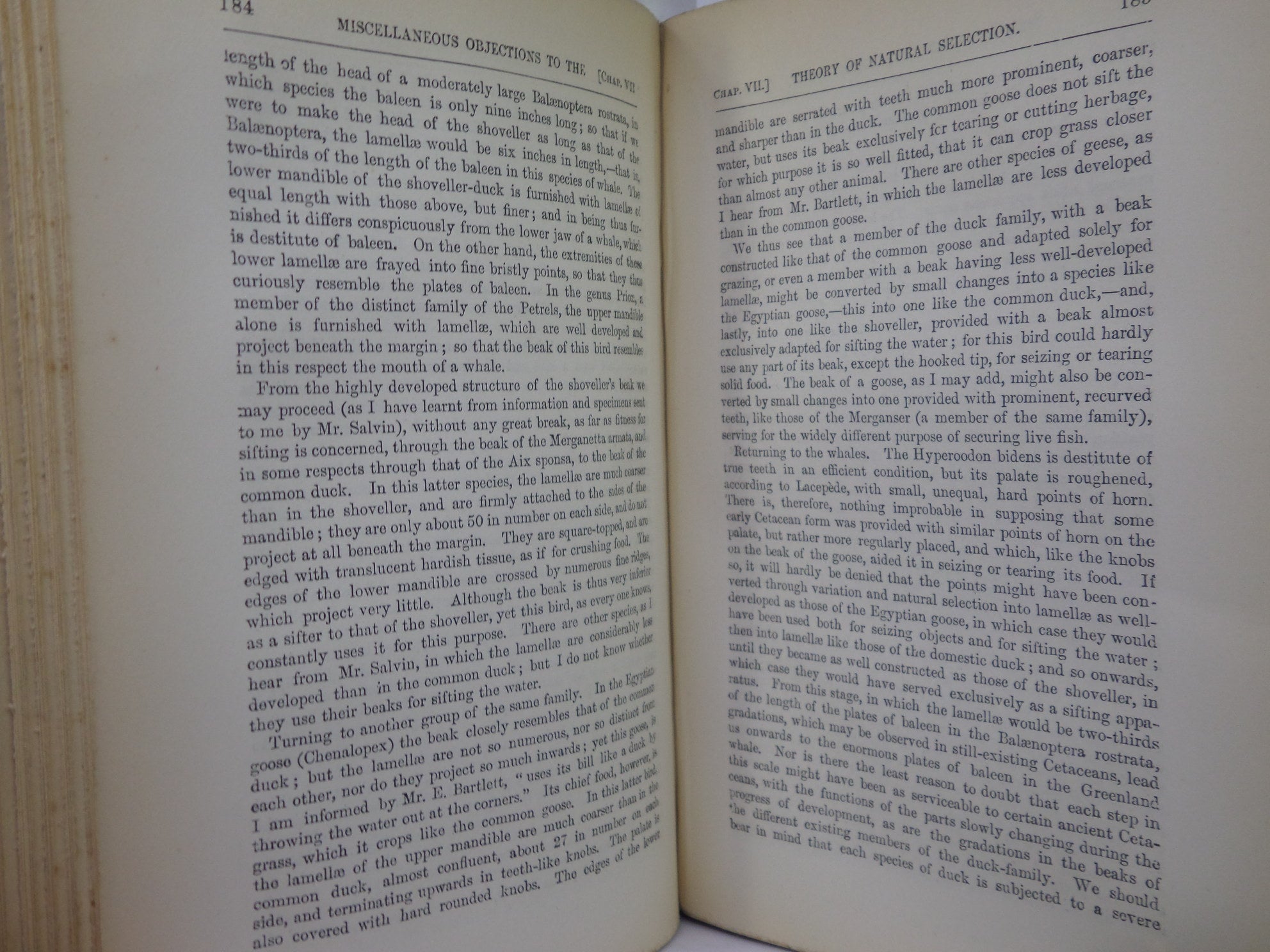 THE ORIGIN OF SPECIES BY MEANS OF NATURAL SELECTION BY CHARLES DARWIN 1885