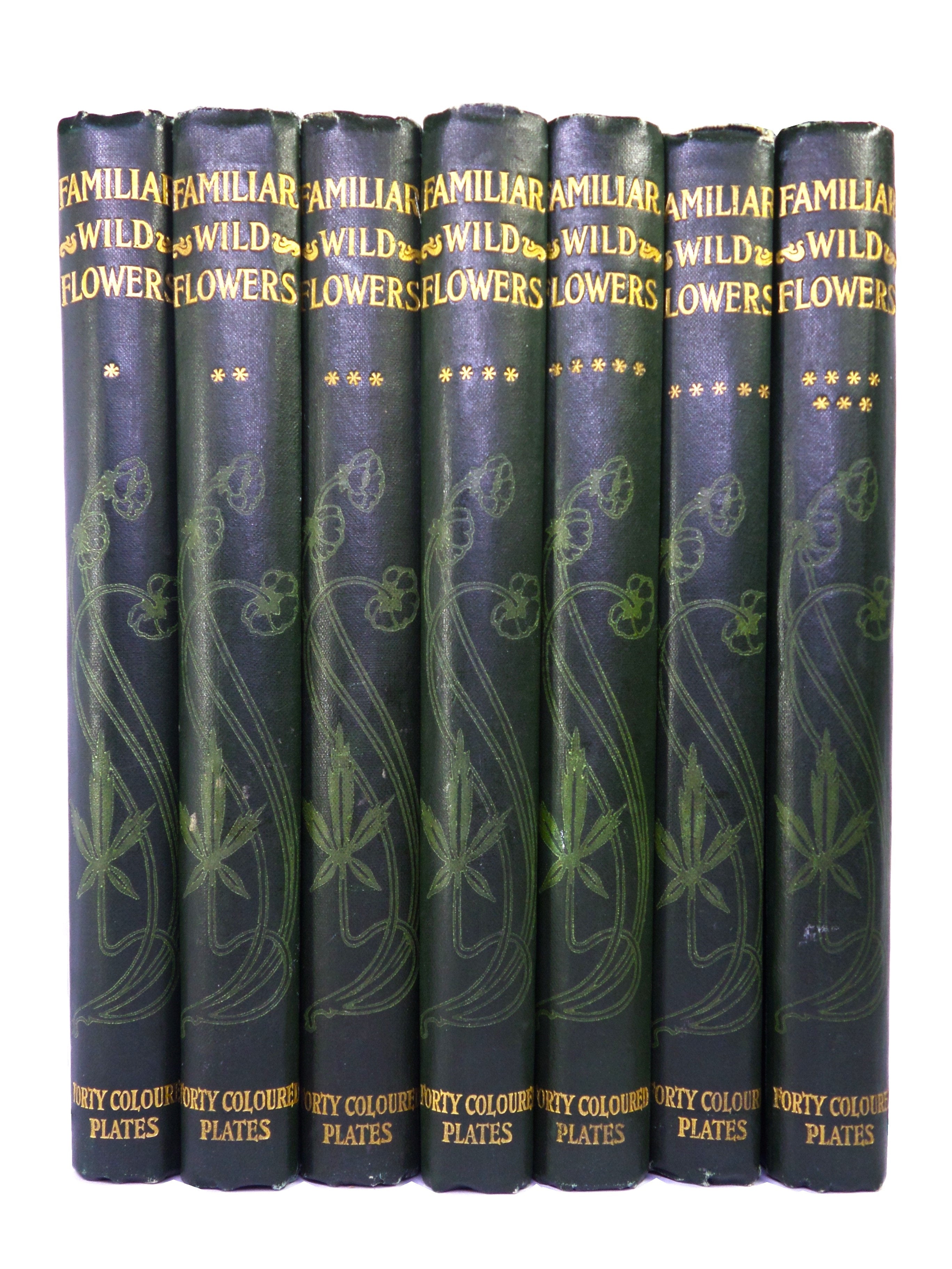 FAMILIAR WILD FLOWERS BY F. EDWARD HULME C. 1880 IN SEVEN VOLUMES, ILLUSTRATED