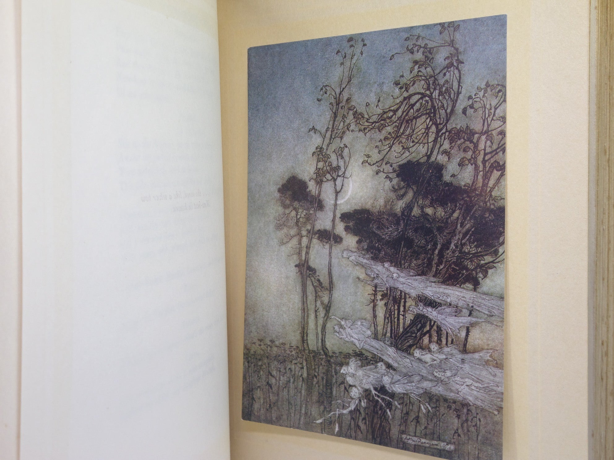 A MIDSUMMER NIGHT'S DREAM BY WILLIAM SHAKESPEARE 1914 ARTHUR RACKHAM ILLUSTRATIONS, RIVIERE TREE CALF BINDING