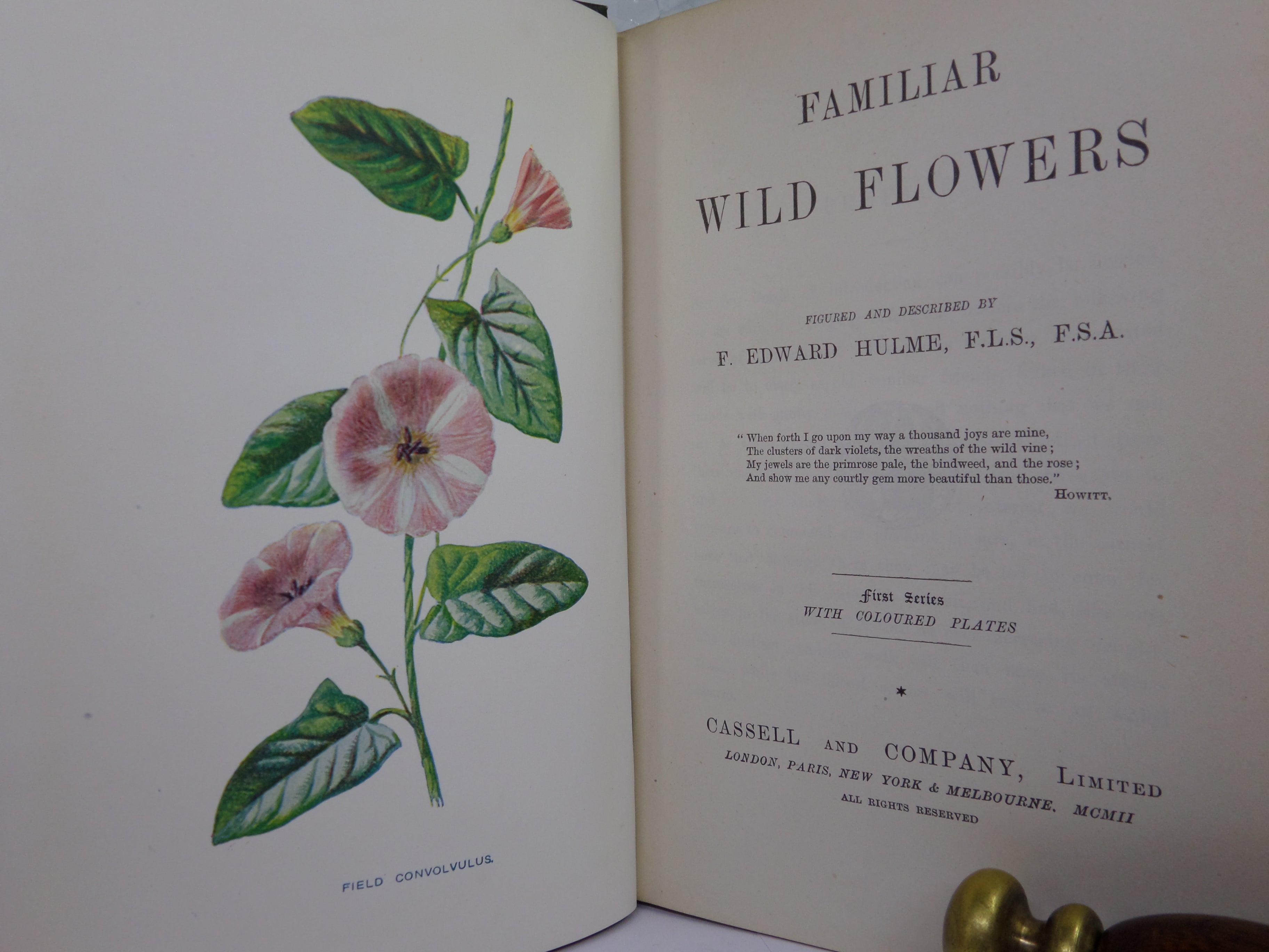 FAMILIAR WILD FLOWERS BY F. EDWARD HULME C. 1880 IN SEVEN VOLUMES, ILLUSTRATED