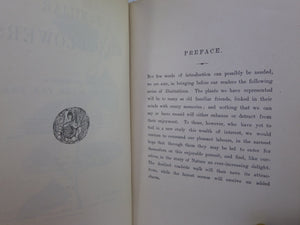 FAMILIAR WILD FLOWERS BY F. EDWARD HULME C. 1880 IN SEVEN VOLUMES, ILLUSTRATED