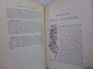 FAMILIAR WILD FLOWERS BY F. EDWARD HULME C. 1880 IN SEVEN VOLUMES, ILLUSTRATED