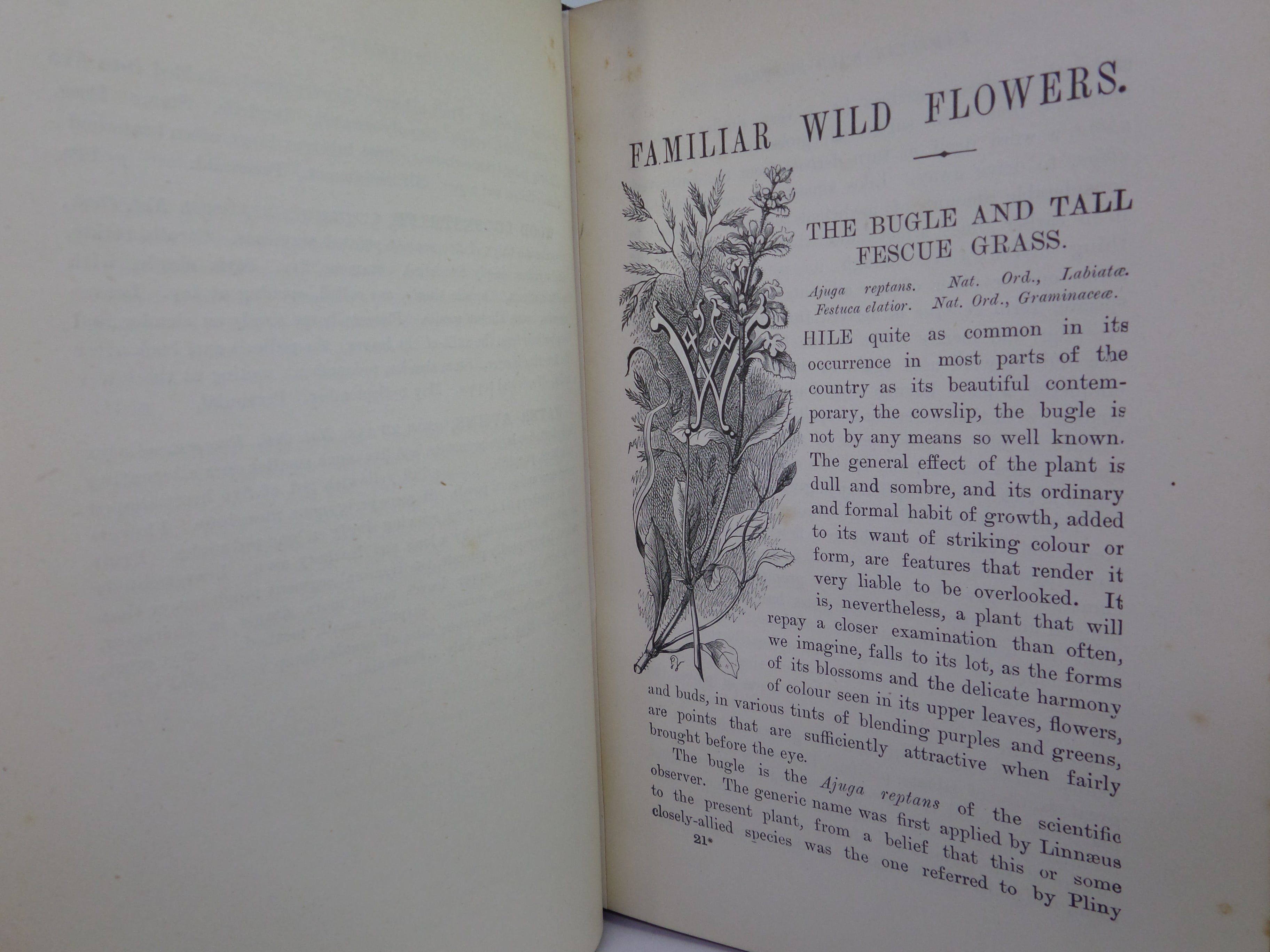 FAMILIAR WILD FLOWERS BY F. EDWARD HULME C. 1880 IN SEVEN VOLUMES, ILLUSTRATED