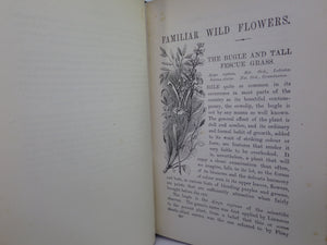 FAMILIAR WILD FLOWERS BY F. EDWARD HULME C. 1880 IN SEVEN VOLUMES, ILLUSTRATED