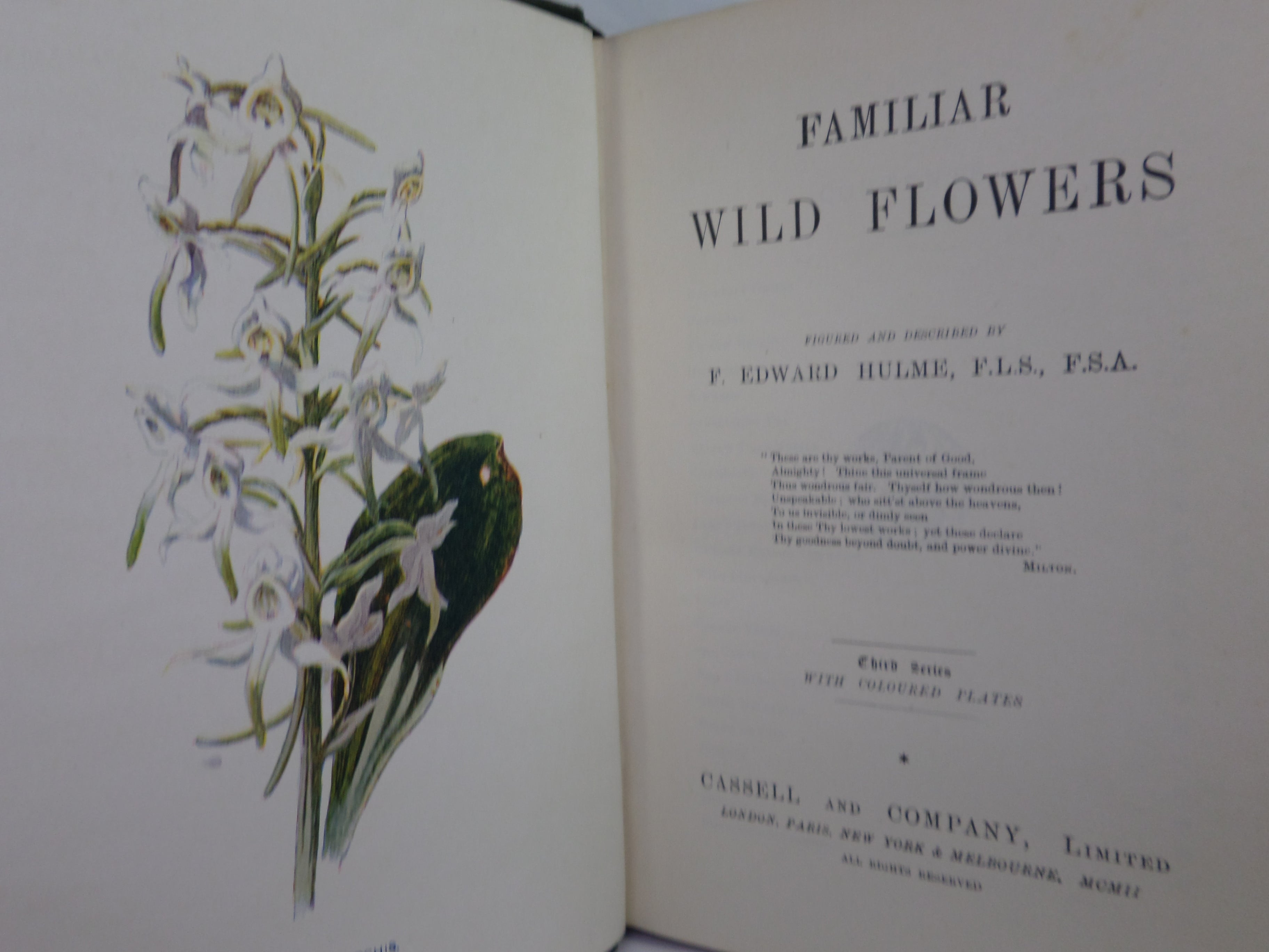 FAMILIAR WILD FLOWERS BY F. EDWARD HULME C. 1880 IN SEVEN VOLUMES, ILLUSTRATED