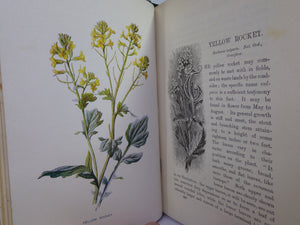 FAMILIAR WILD FLOWERS BY F. EDWARD HULME C. 1880 IN SEVEN VOLUMES, ILLUSTRATED