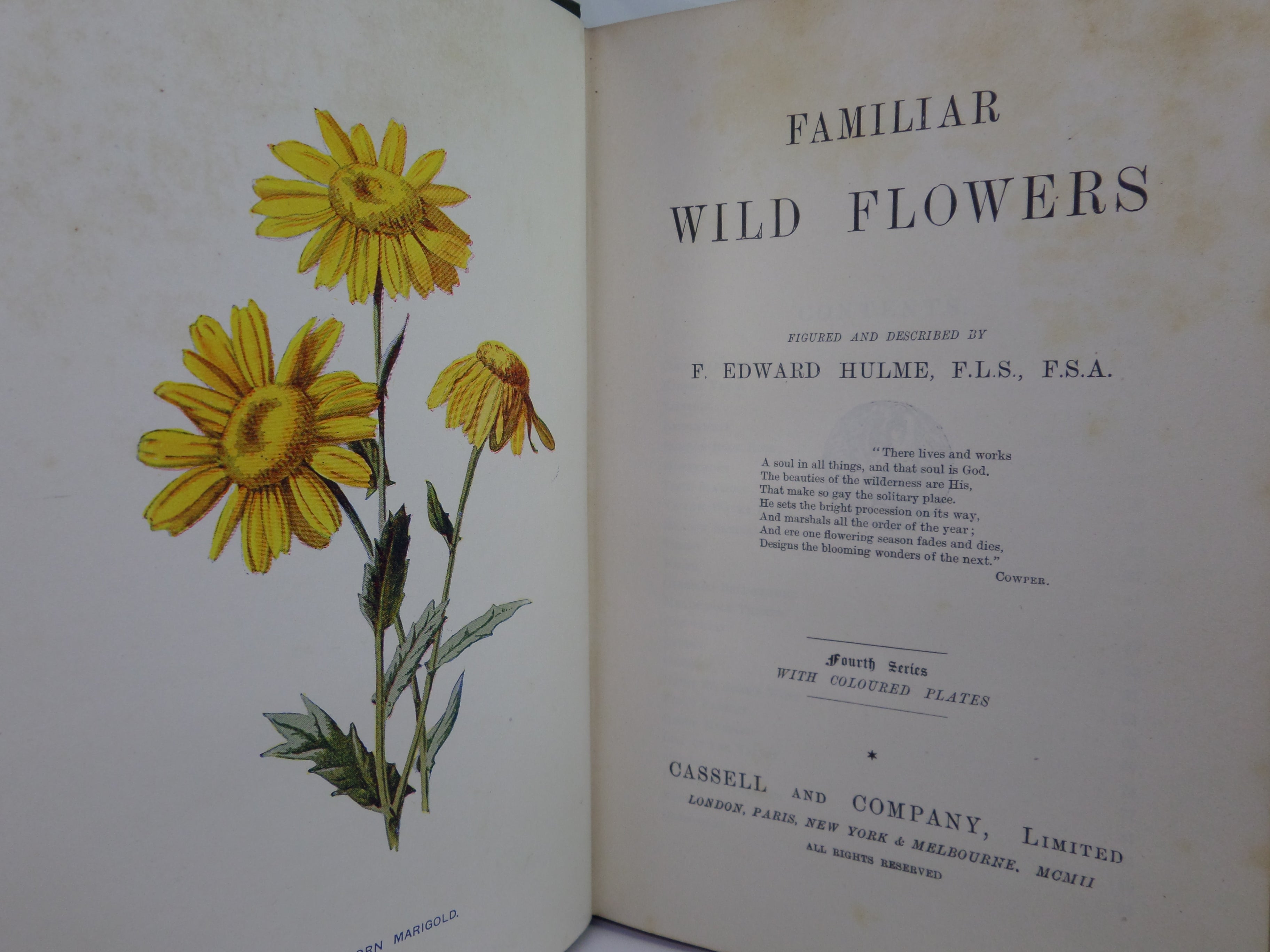 FAMILIAR WILD FLOWERS BY F. EDWARD HULME C. 1880 IN SEVEN VOLUMES, ILLUSTRATED