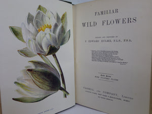 FAMILIAR WILD FLOWERS BY F. EDWARD HULME C. 1880 IN SEVEN VOLUMES, ILLUSTRATED