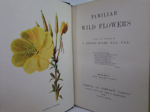 FAMILIAR WILD FLOWERS BY F. EDWARD HULME C. 1880 IN SEVEN VOLUMES, ILLUSTRATED