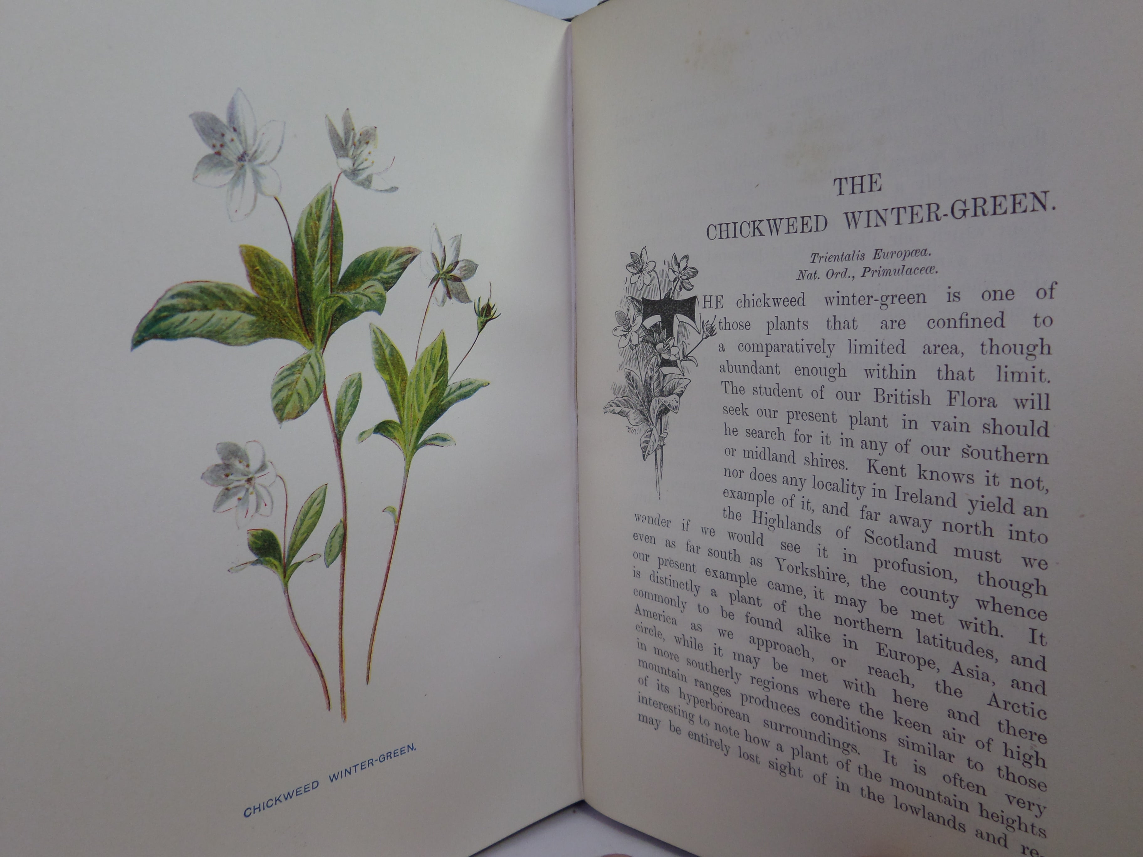 FAMILIAR WILD FLOWERS BY F. EDWARD HULME C. 1880 IN SEVEN VOLUMES, ILLUSTRATED