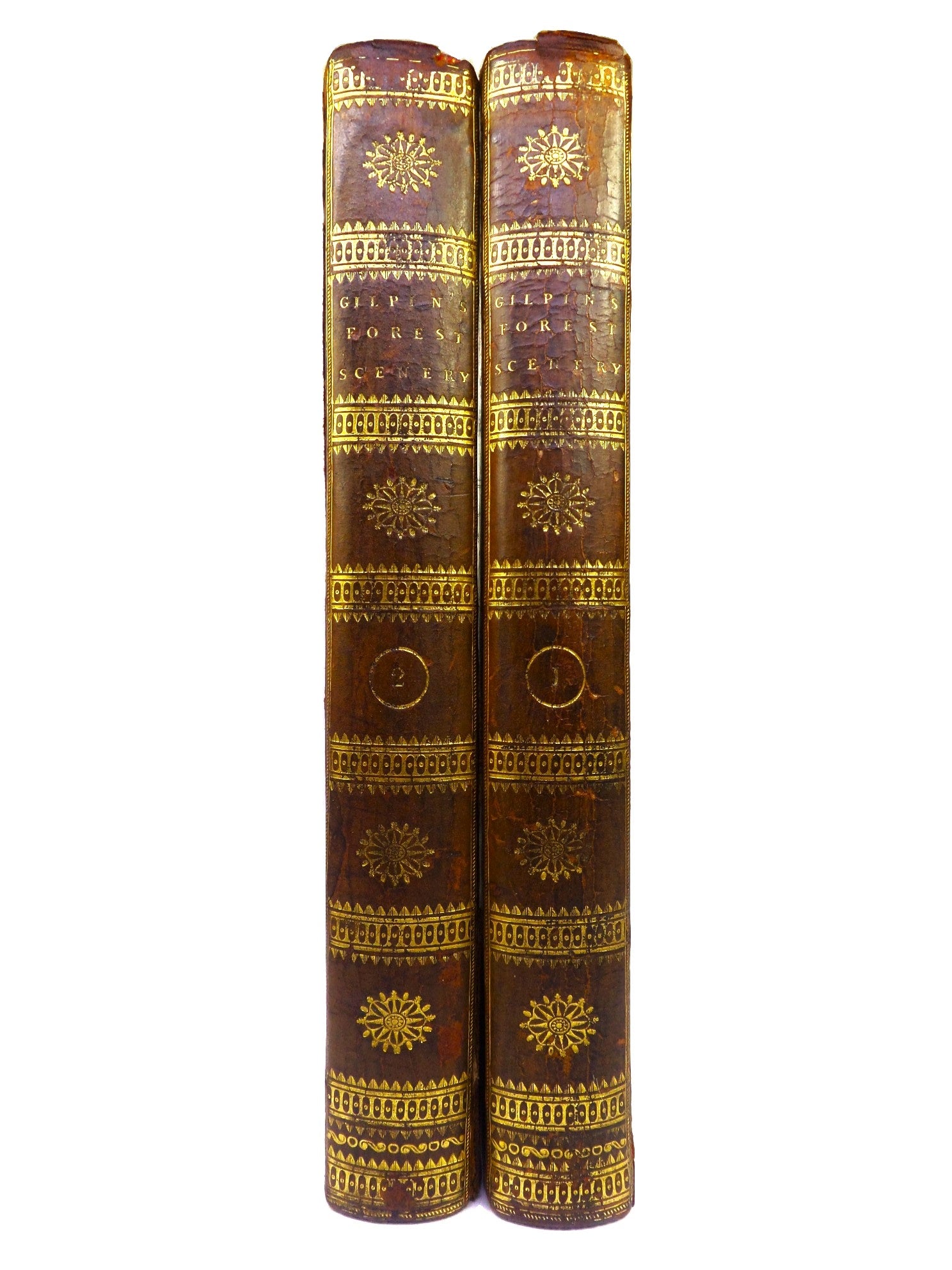 REMARKS ON FOREST SCENERY BY WILLIAM GILPIN 1794 TREE CALF BINDING