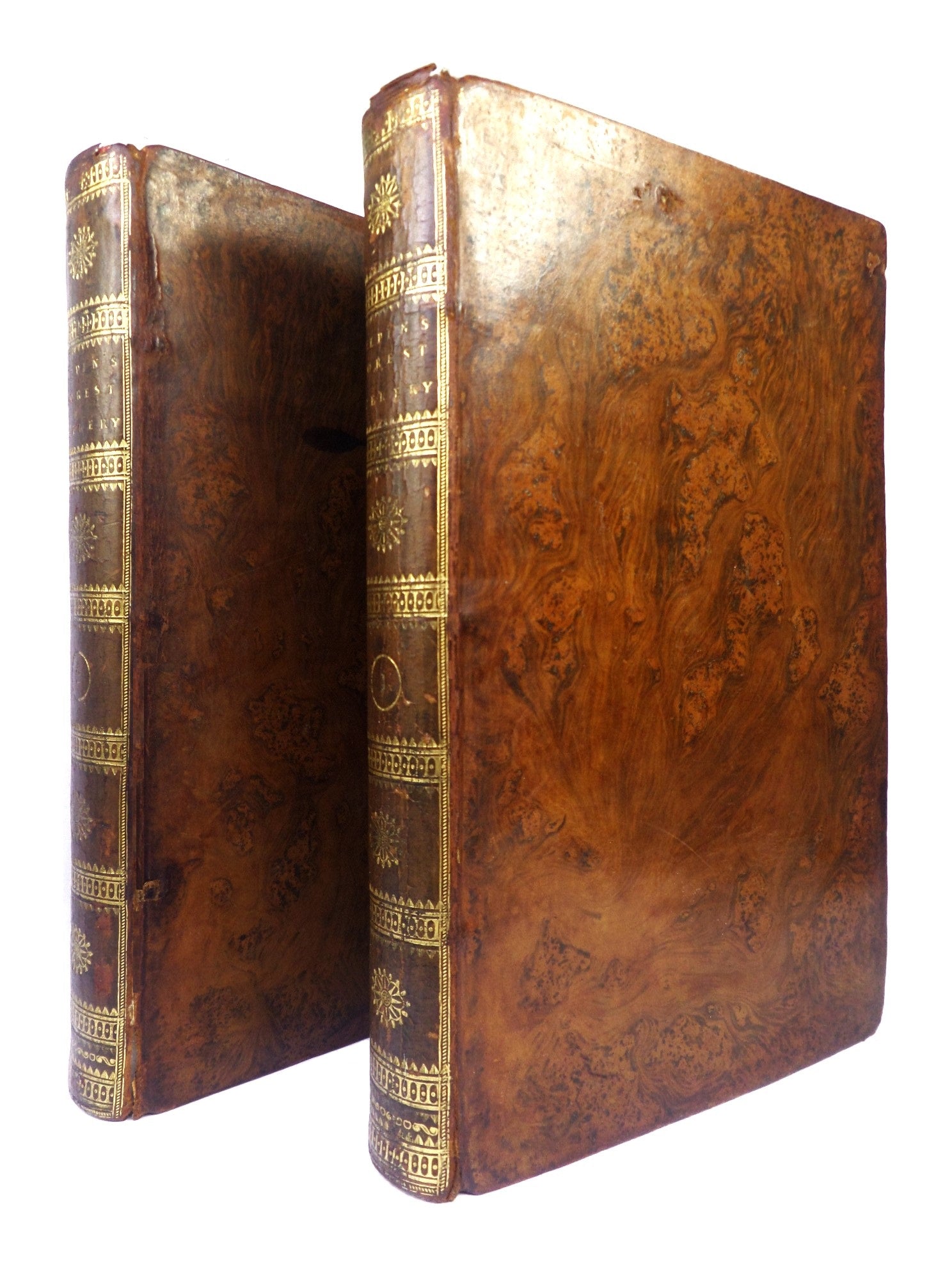 REMARKS ON FOREST SCENERY BY WILLIAM GILPIN 1794 TREE CALF BINDING