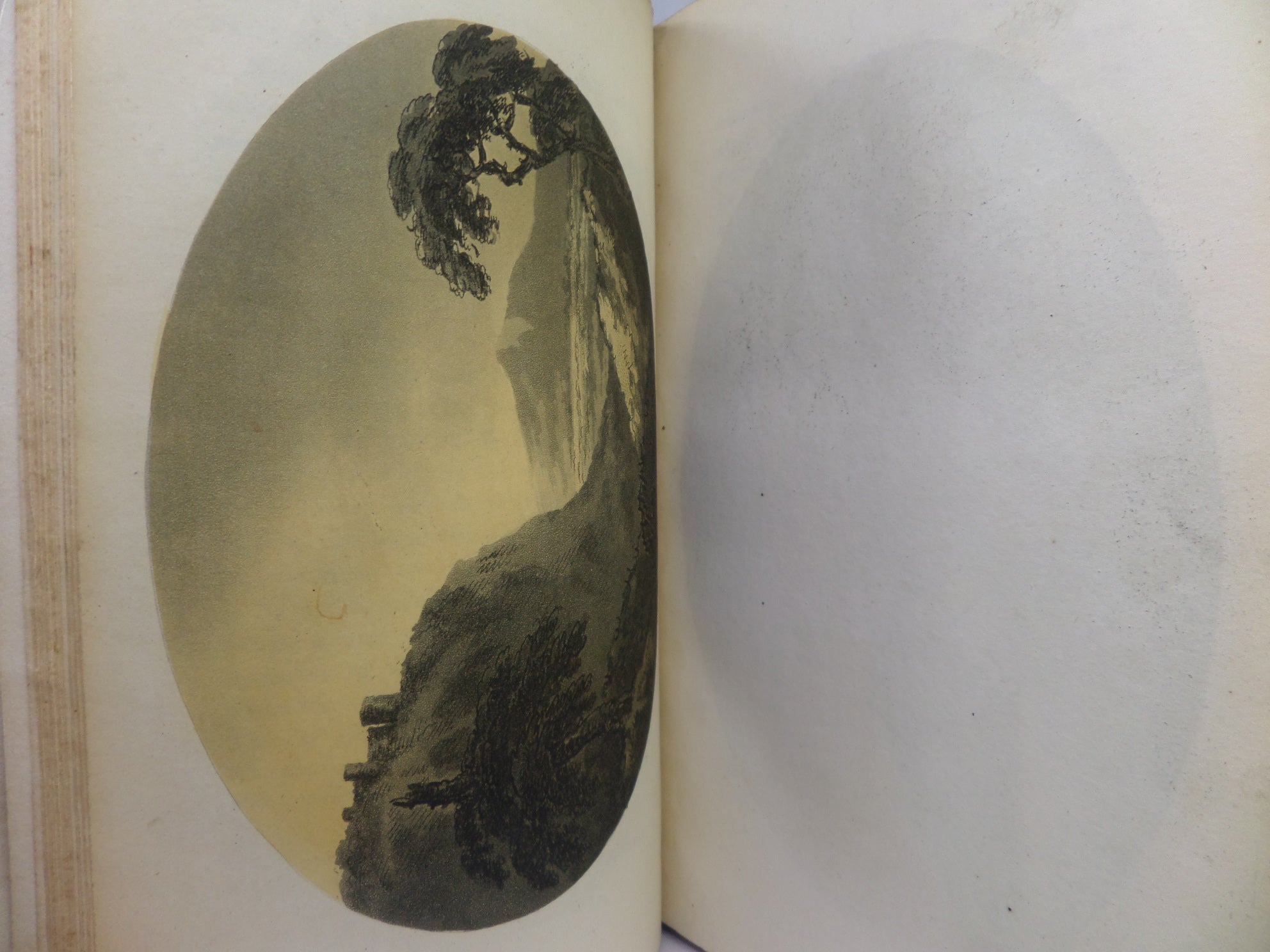 REMARKS ON FOREST SCENERY BY WILLIAM GILPIN 1794 TREE CALF BINDING