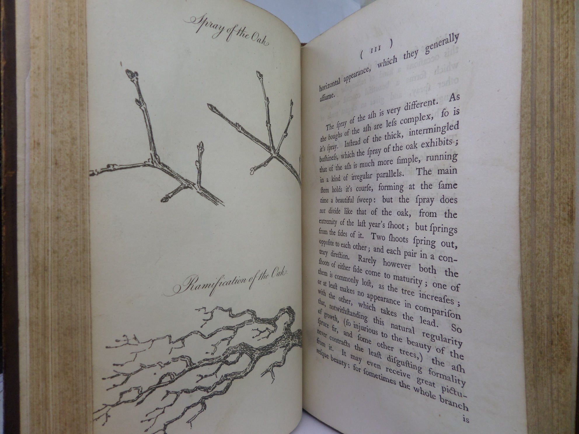 REMARKS ON FOREST SCENERY BY WILLIAM GILPIN 1794 TREE CALF BINDING