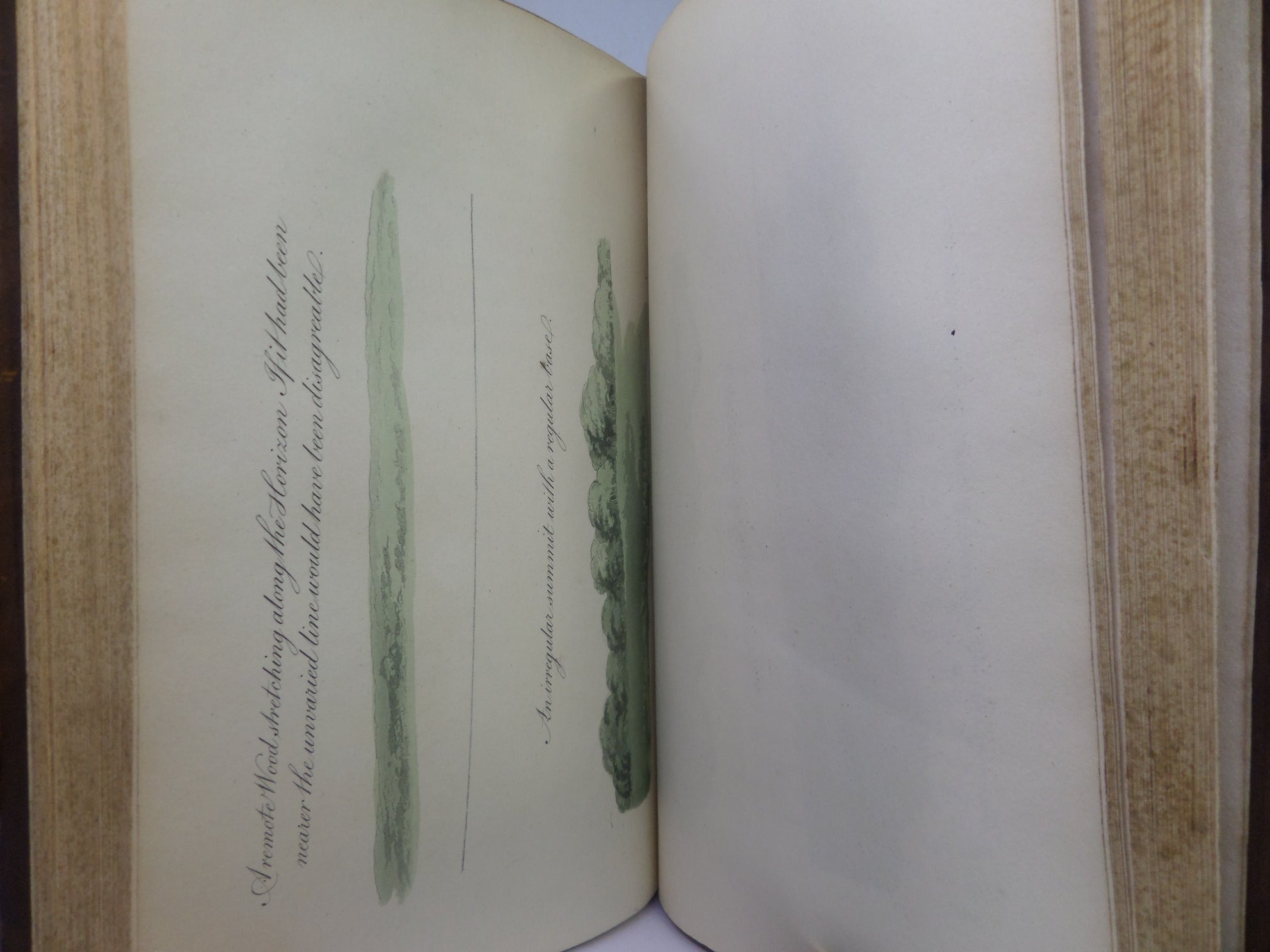 REMARKS ON FOREST SCENERY BY WILLIAM GILPIN 1794 TREE CALF BINDING