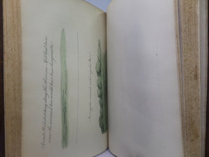 REMARKS ON FOREST SCENERY BY WILLIAM GILPIN 1794 TREE CALF BINDING