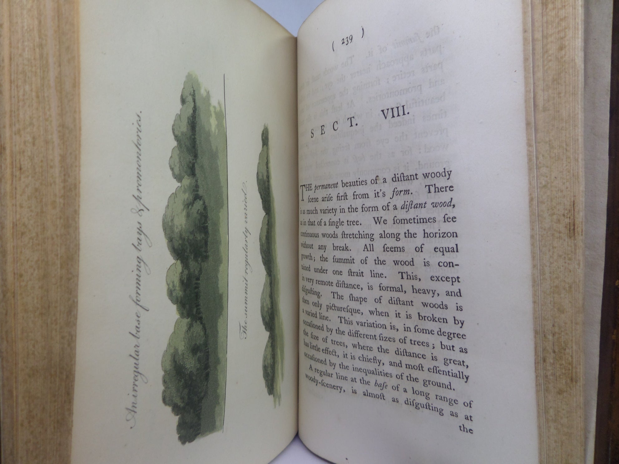 REMARKS ON FOREST SCENERY BY WILLIAM GILPIN 1794 TREE CALF BINDING