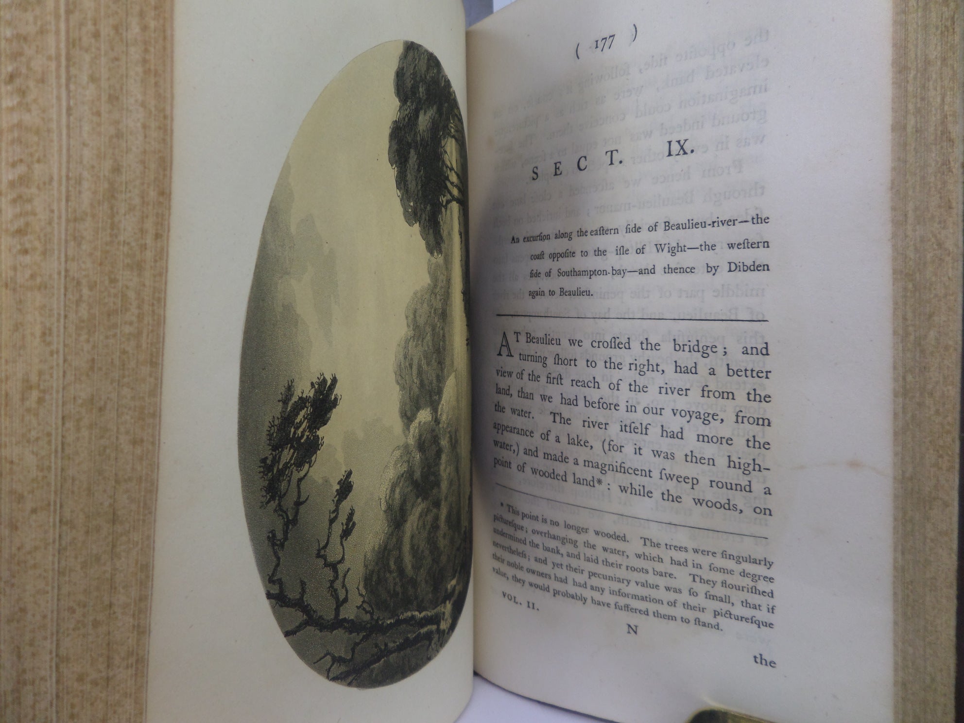 REMARKS ON FOREST SCENERY BY WILLIAM GILPIN 1794 TREE CALF BINDING