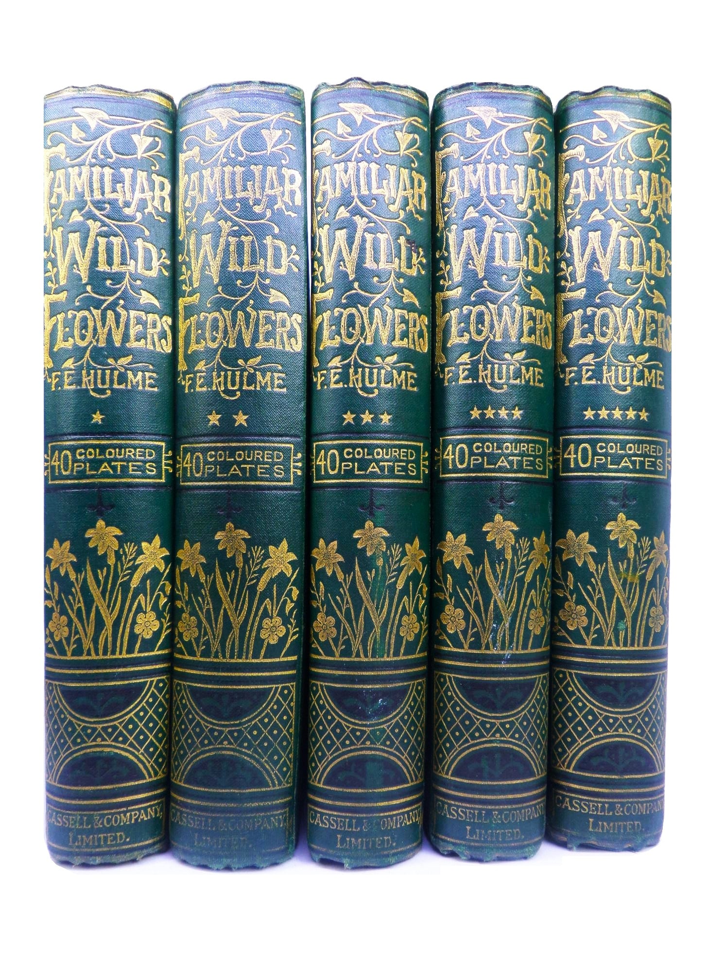 FAMILIAR WILD FLOWERS BY F. EDWARD HULME CA.1880 FIVE VOLUMES COLOUR ILLUSTRATED