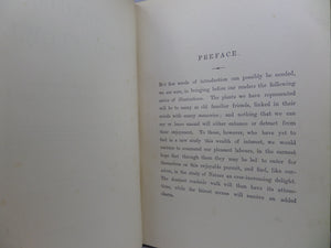 FAMILIAR WILD FLOWERS BY F. EDWARD HULME CA.1880 FIVE VOLUMES COLOUR ILLUSTRATED