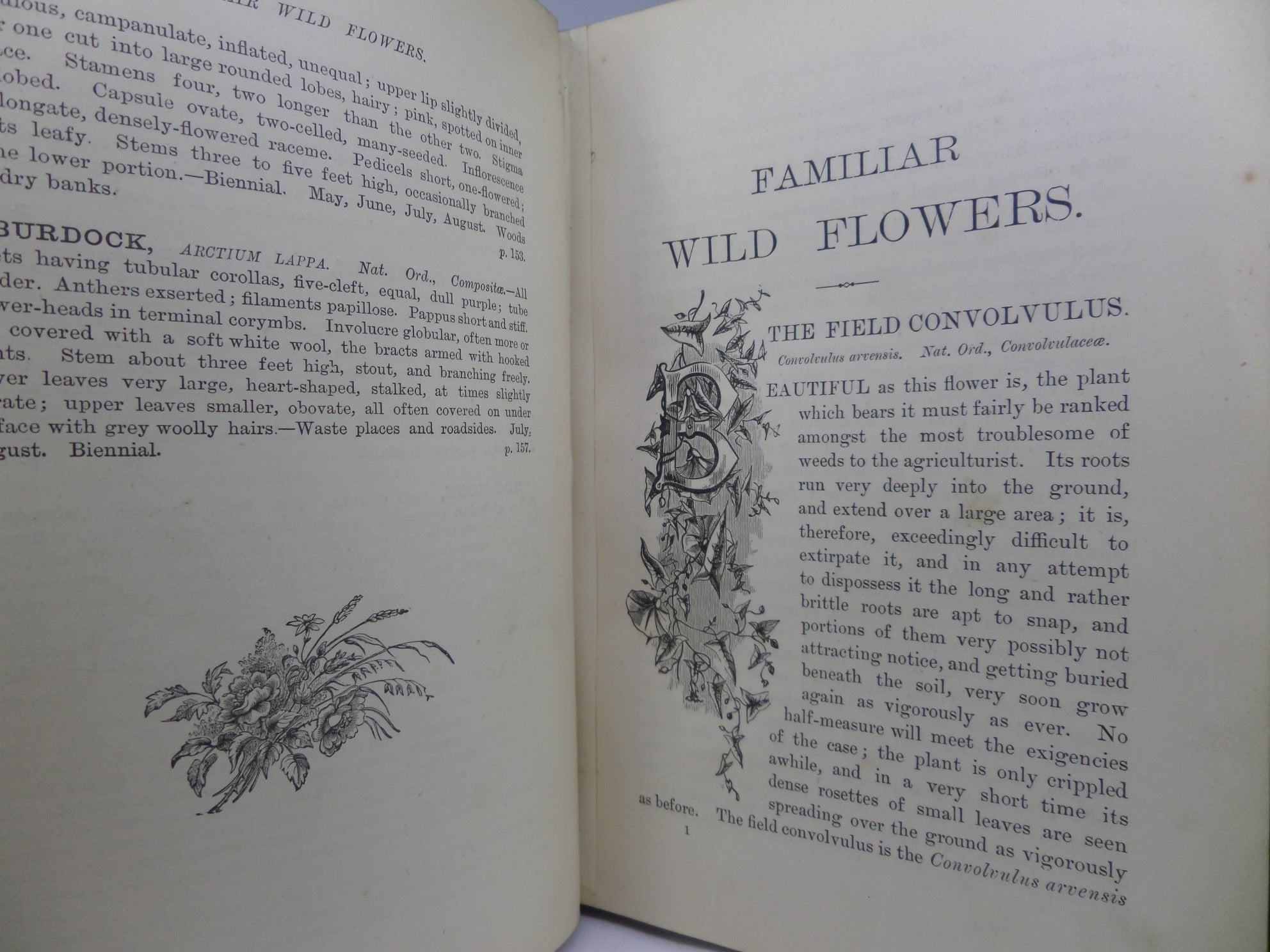 FAMILIAR WILD FLOWERS BY F. EDWARD HULME CA.1880 FIVE VOLUMES COLOUR ILLUSTRATED